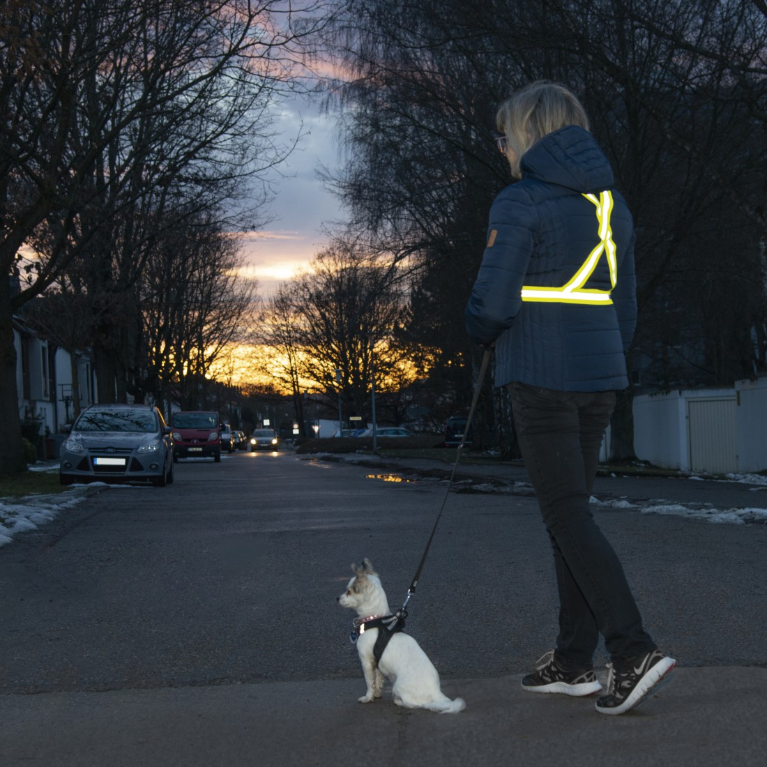 Frau mit Hund bei Dämmerung auf einer Straße mit Autos und Bäumen.