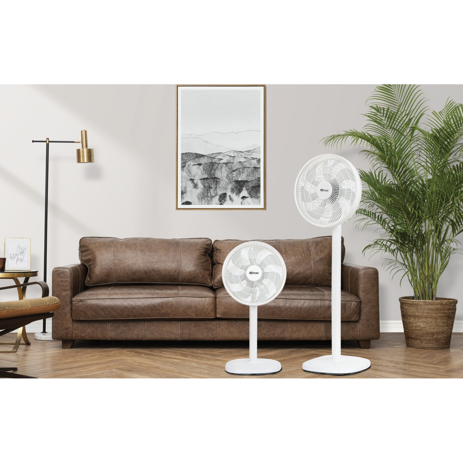 A brown leather sofa with two white standing fans in front of it.