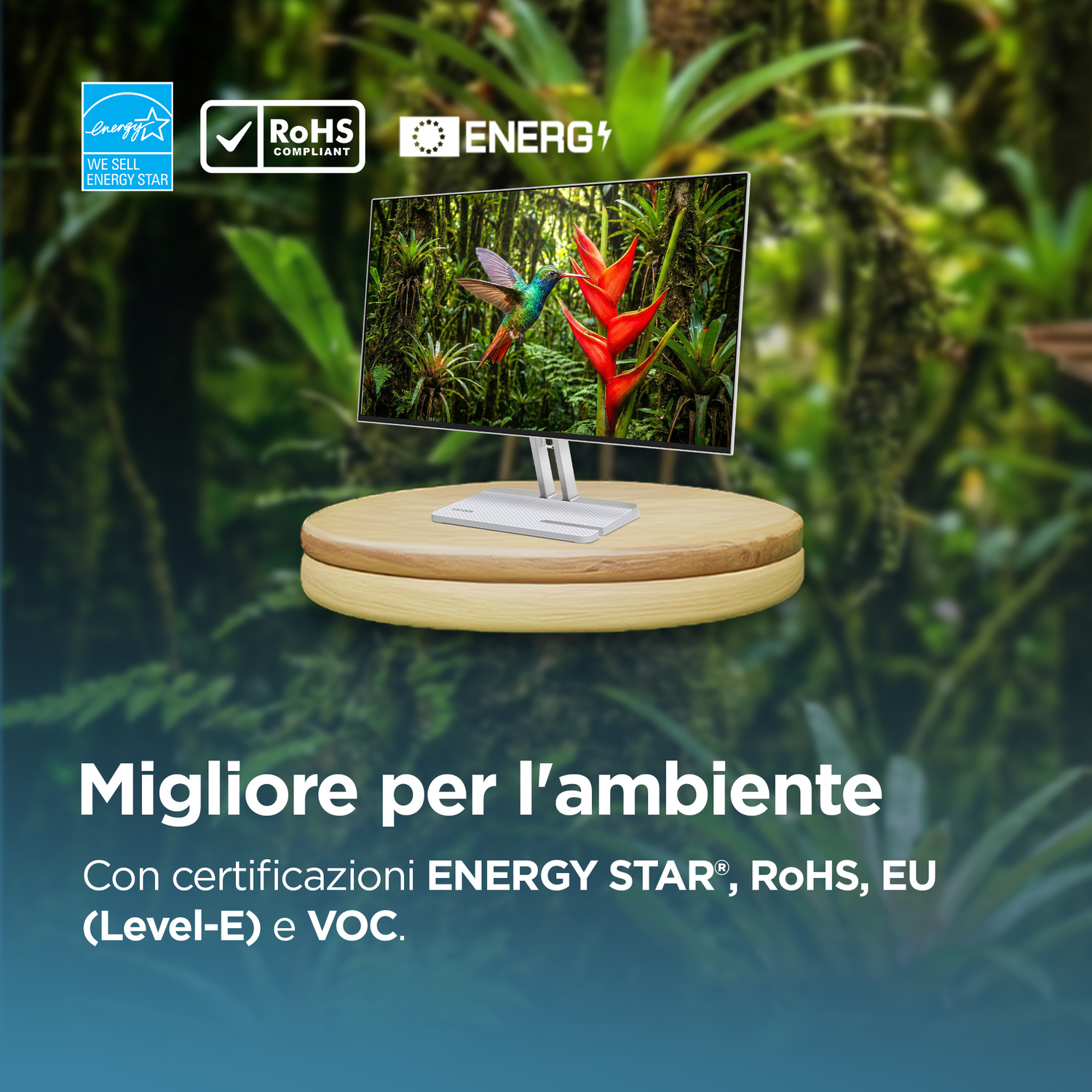 Un monitor con etichetta ENERGY STAR su piedistallo in legno davanti a natura lussureggiante.