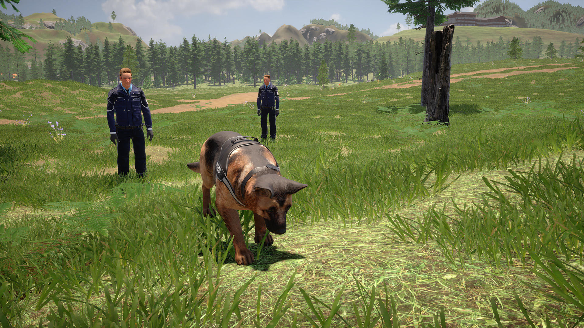 Ein Deutscher Schäferhund mit Weste läuft auf einer Wiese, Polizisten im Hintergrund.