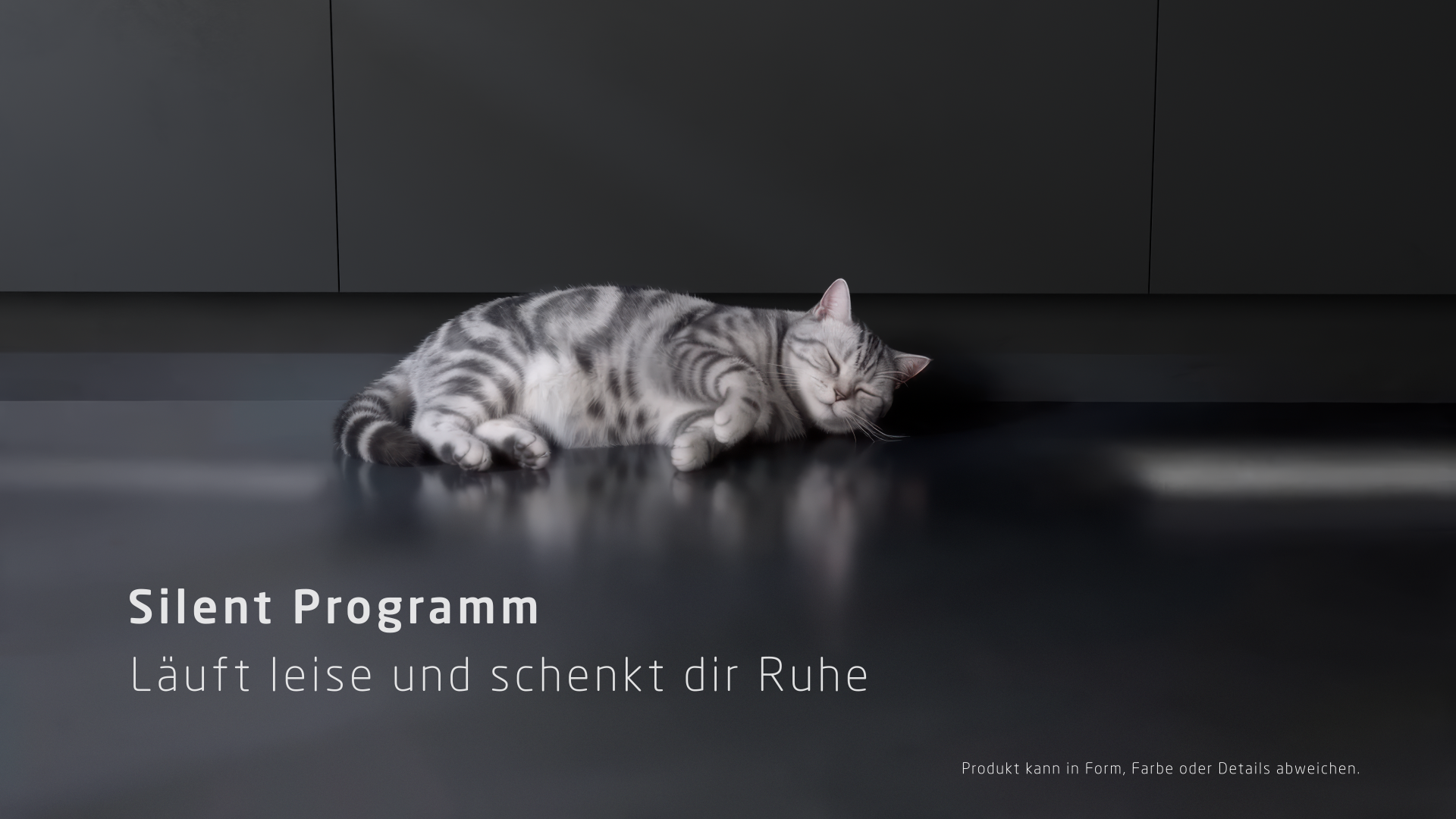 Eine getigerte Katze schläft auf einem dunklen, glänzenden Boden.