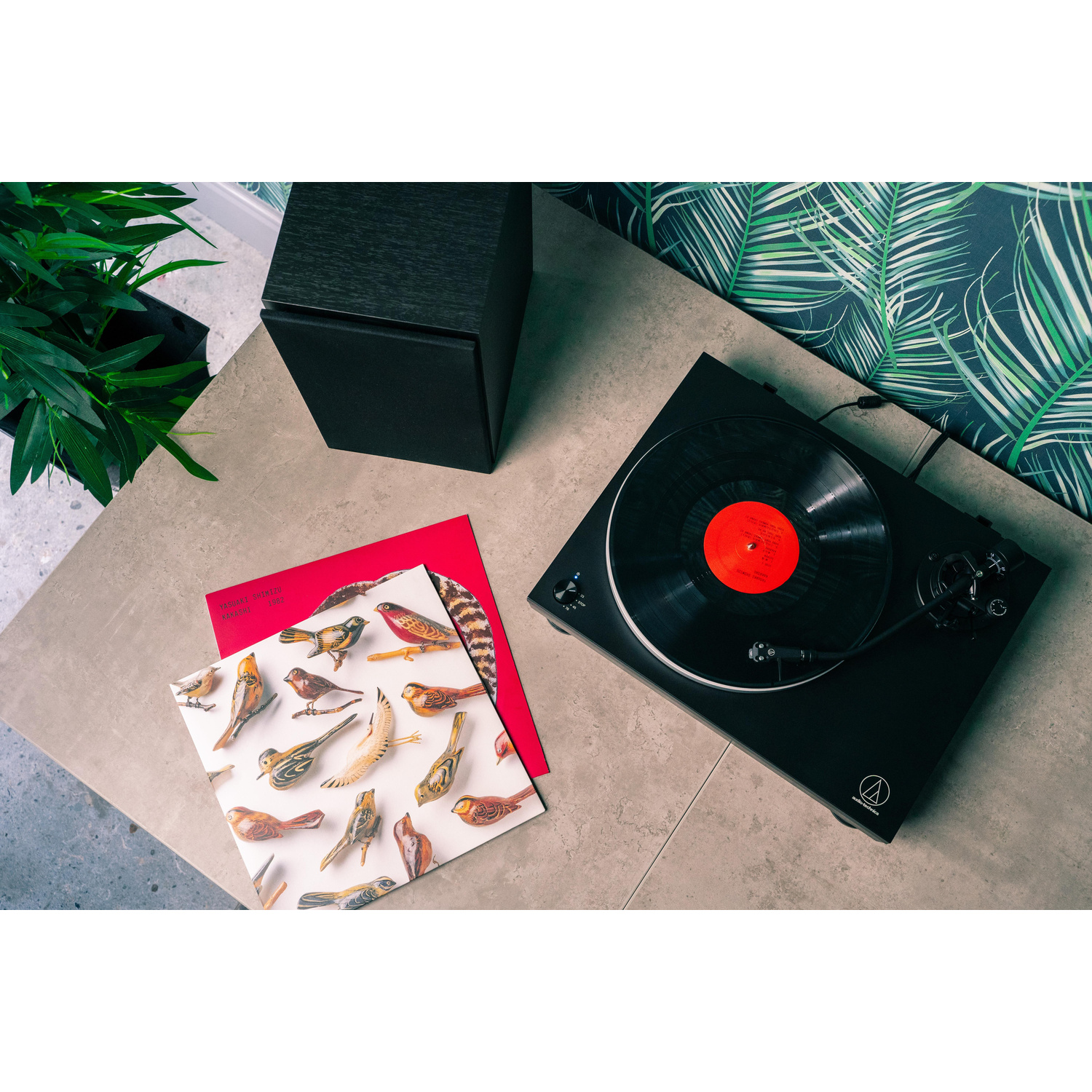 Un giradischi nero con un disco in vinile, un altoparlante e due copertine di dischi con illustrazioni di uccelli su una superficie grigia.
