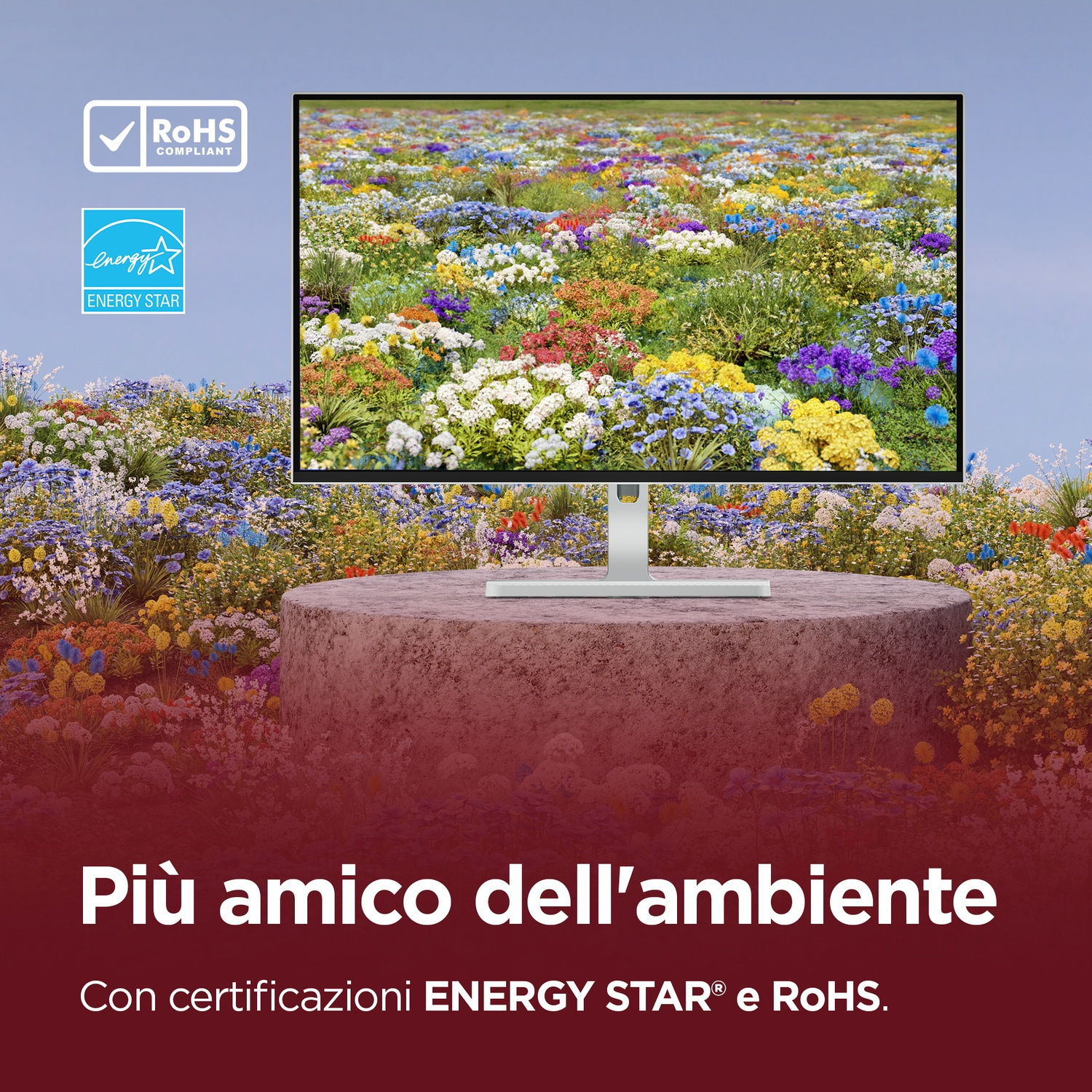 Un monitor davanti a un campo di fiori colorati, con loghi ENERGY STAR e RoHS.
