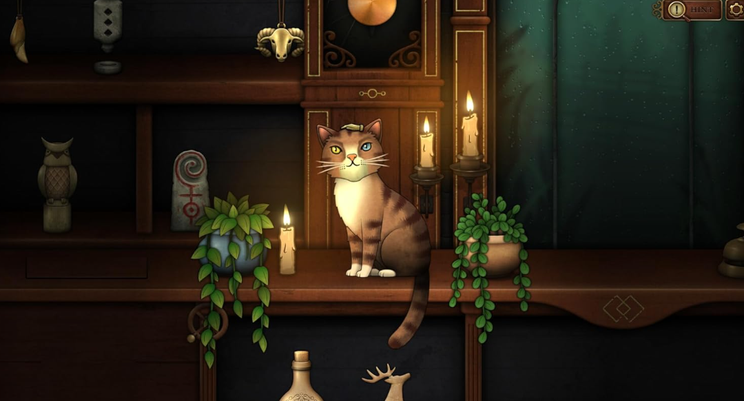 Eine Katze sitzt auf einem Regal neben Kerzen und Pflanzen. Oben sind Objekte.