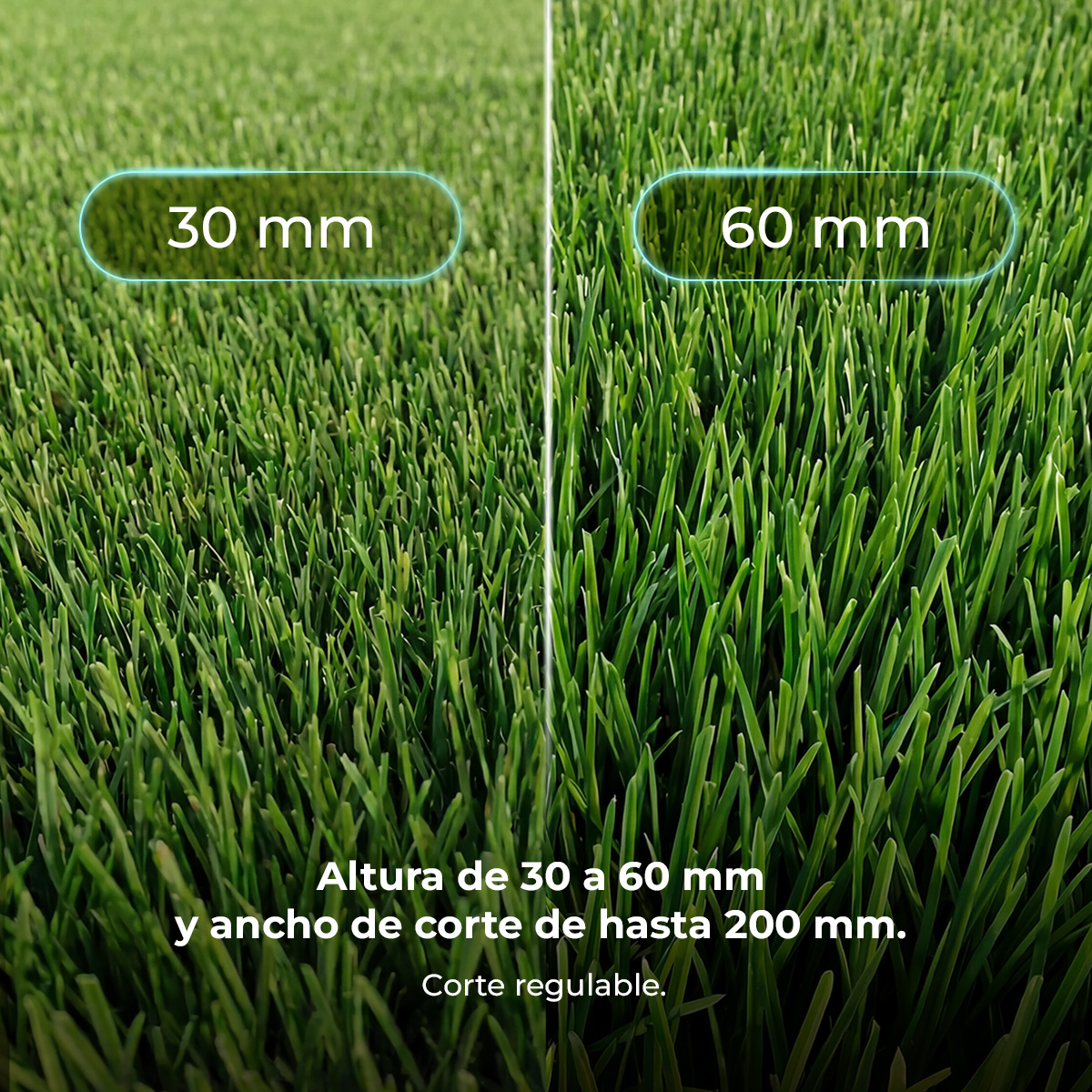 Césped con alturas de 30 y 60 mm, ancho de corte 200 mm.
