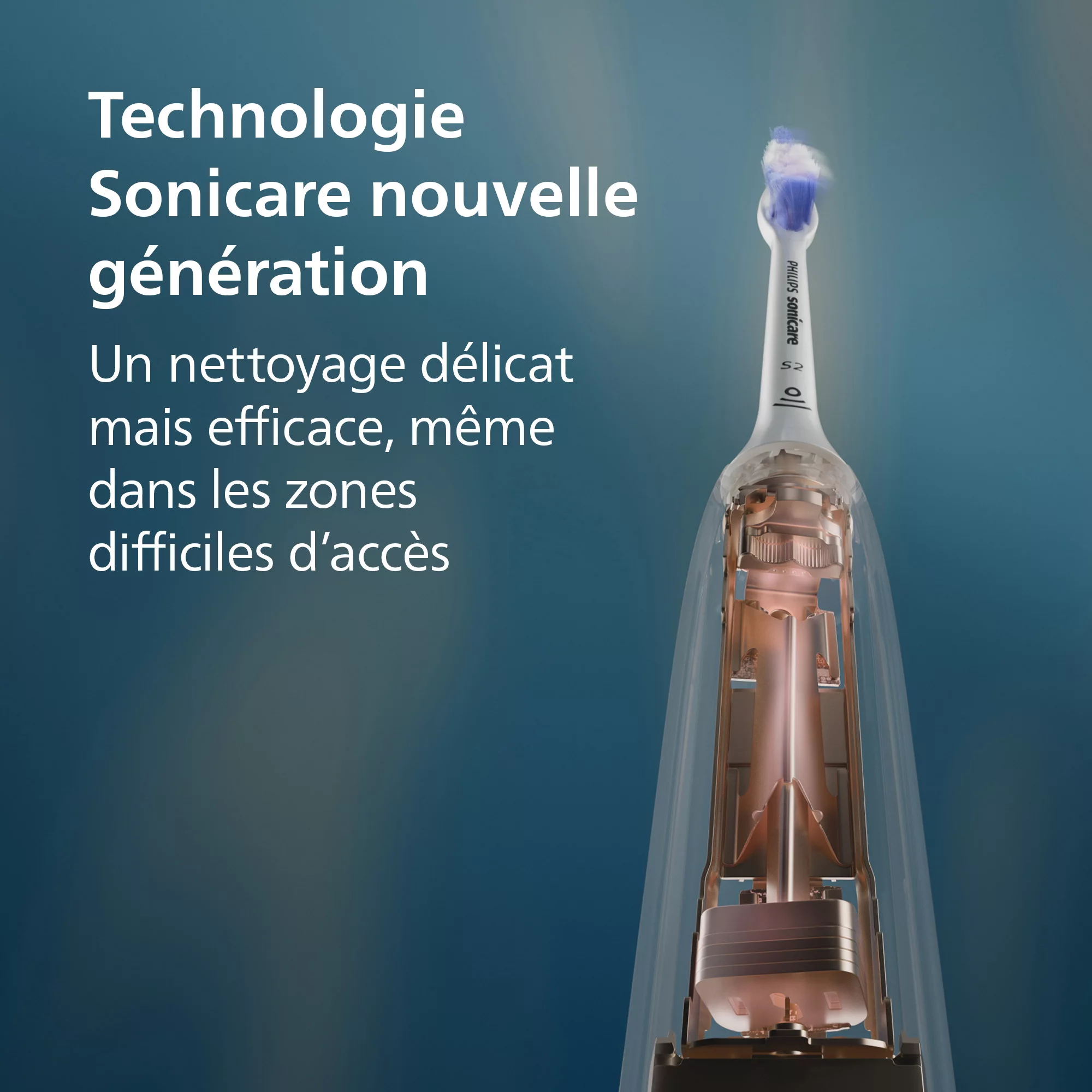Przekrój szczoteczki Philips Sonicare z niebieskim włosiem i wewnętrznym mechanizmem.