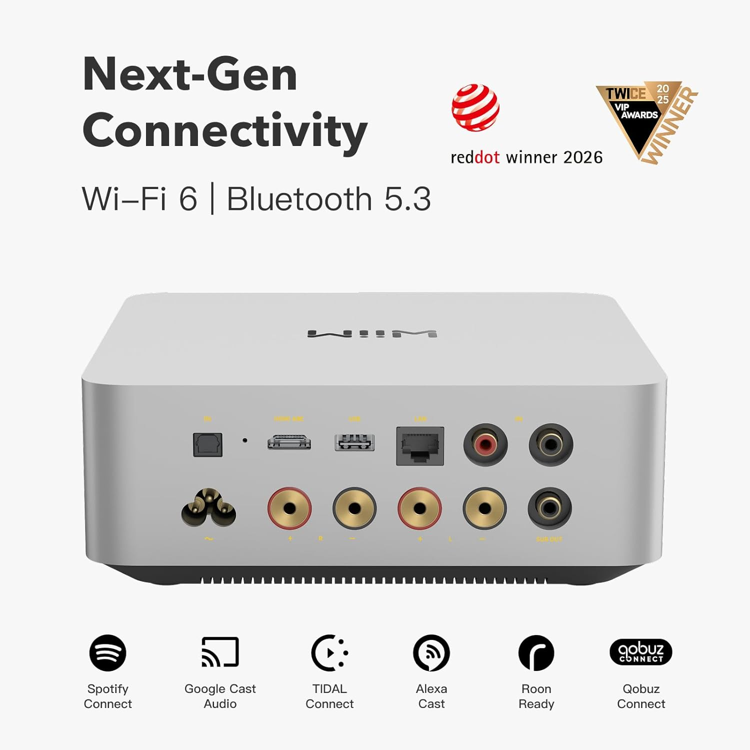 Rückseite eines silbernen Audiogeräts mit Anschlüssen und Logos für Streaming-Dienste.
