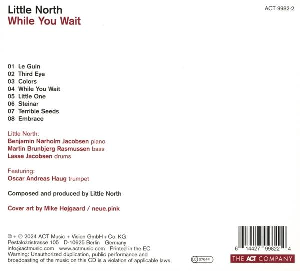Albumtitel 'Little North - While You Wait' mit Trackliste und Credits.