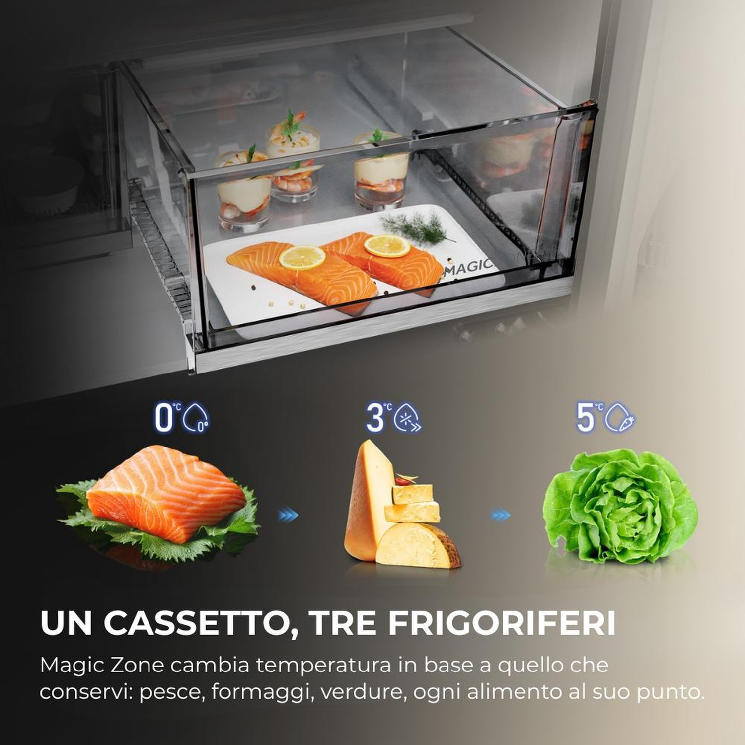 Cassetto frigorifero con salmone, formaggio, lattuga a diverse temperature.