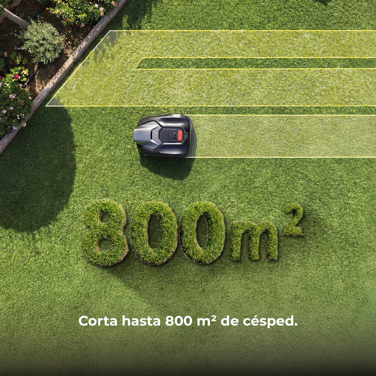 Un robot cortacésped en un área de césped con los números 800m² hechos de césped.