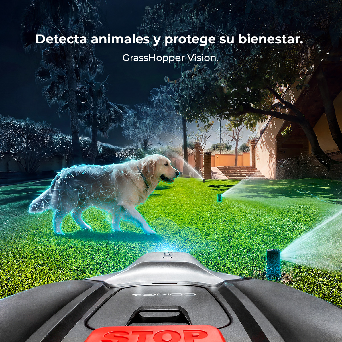 Un golden retriever camina por un césped de noche, detectado por un robot cortacésped.
