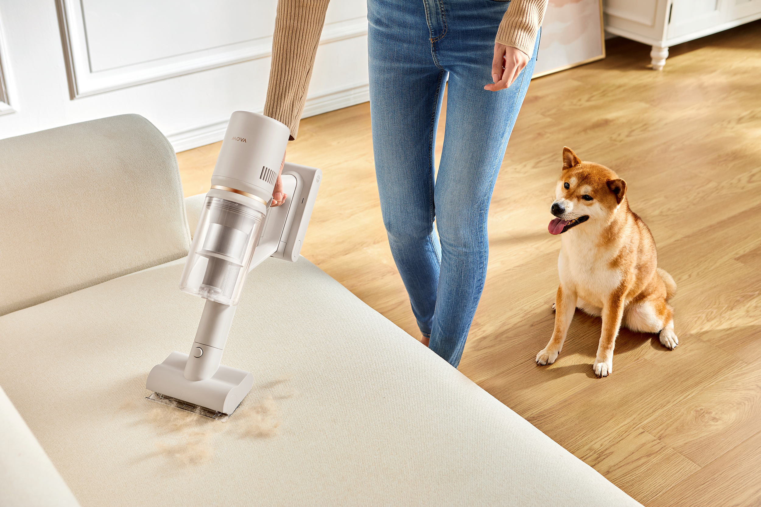 Egy személy porszívózik egy világos kanapén, mellette ül egy Shiba Inu.
