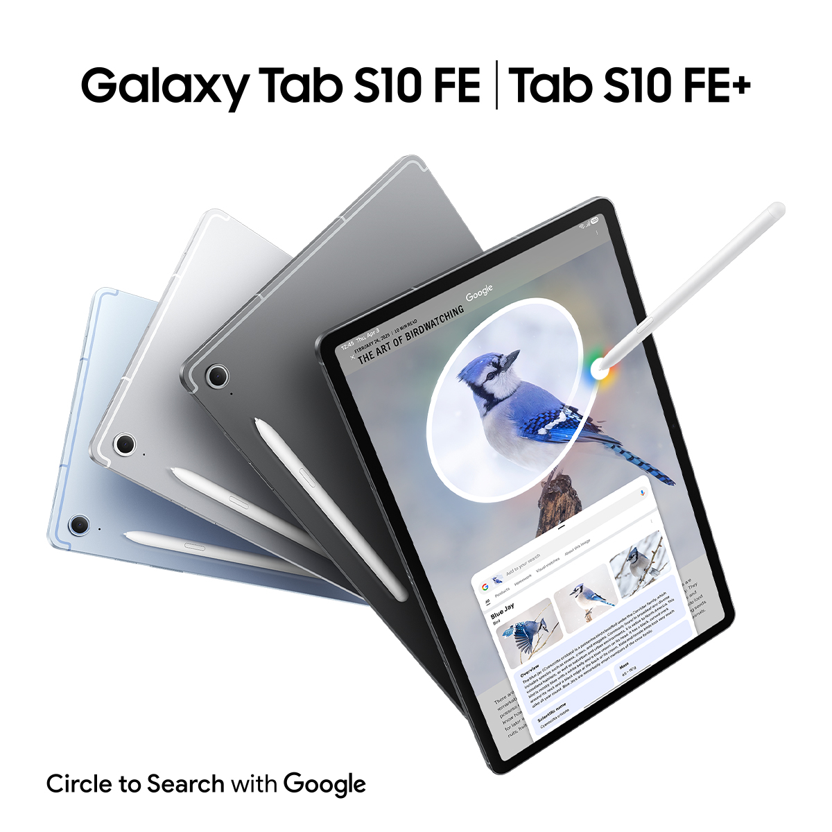 Ekranında mavi iskete gösteren kalemli birkaç Samsung Galaxy Tab S10 FE tablet.