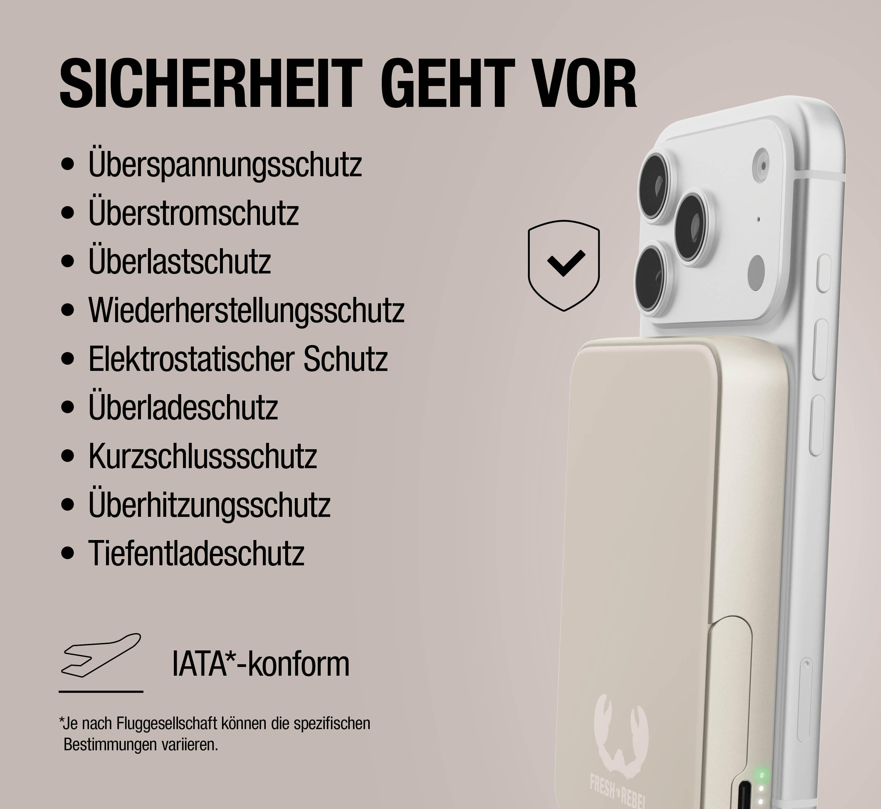 Sicherheitshinweise für ein Lade-Case mit Handy, inkl. IATA-Konformität.