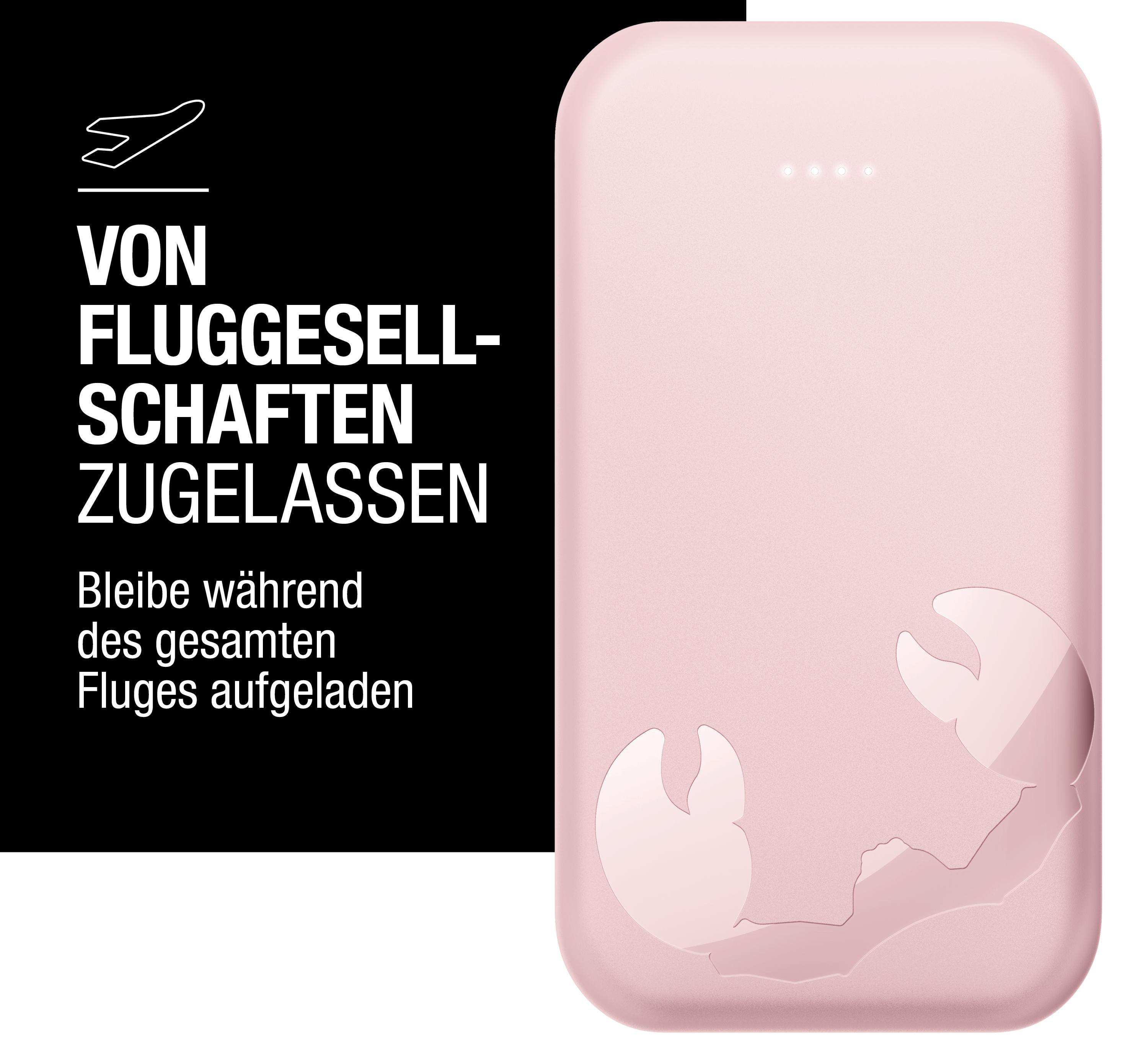 Ein rosafarbenes Ladegerät mit Flugzeugsymbol und Text. Zugelassen von Fluggesellschaften.