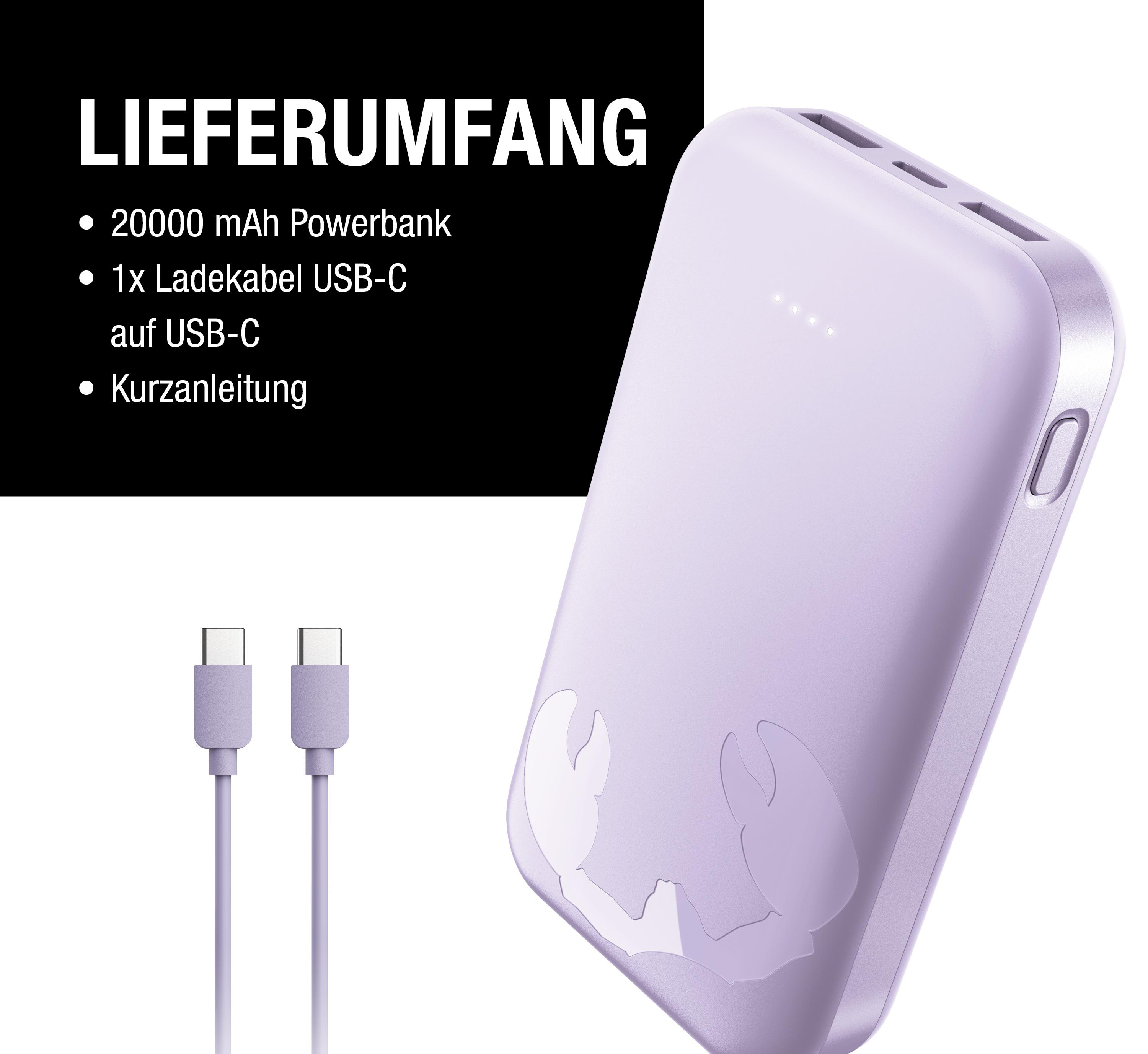 Lila Powerbank mit 20000 mAh, zwei USB-C-Kabeln und Anleitung.