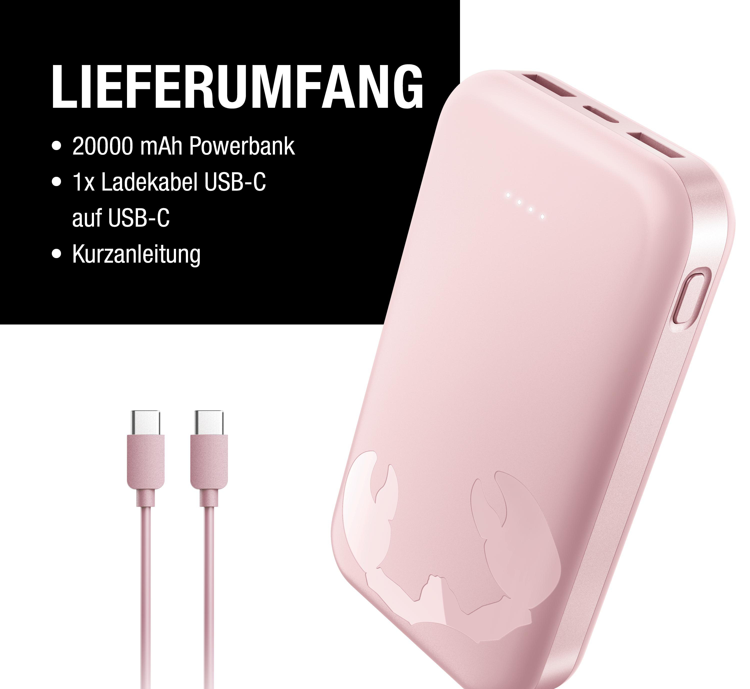 Rosafarbene Powerbank mit 20000 mAh, zwei USB-C-Kabeln und Anleitung.