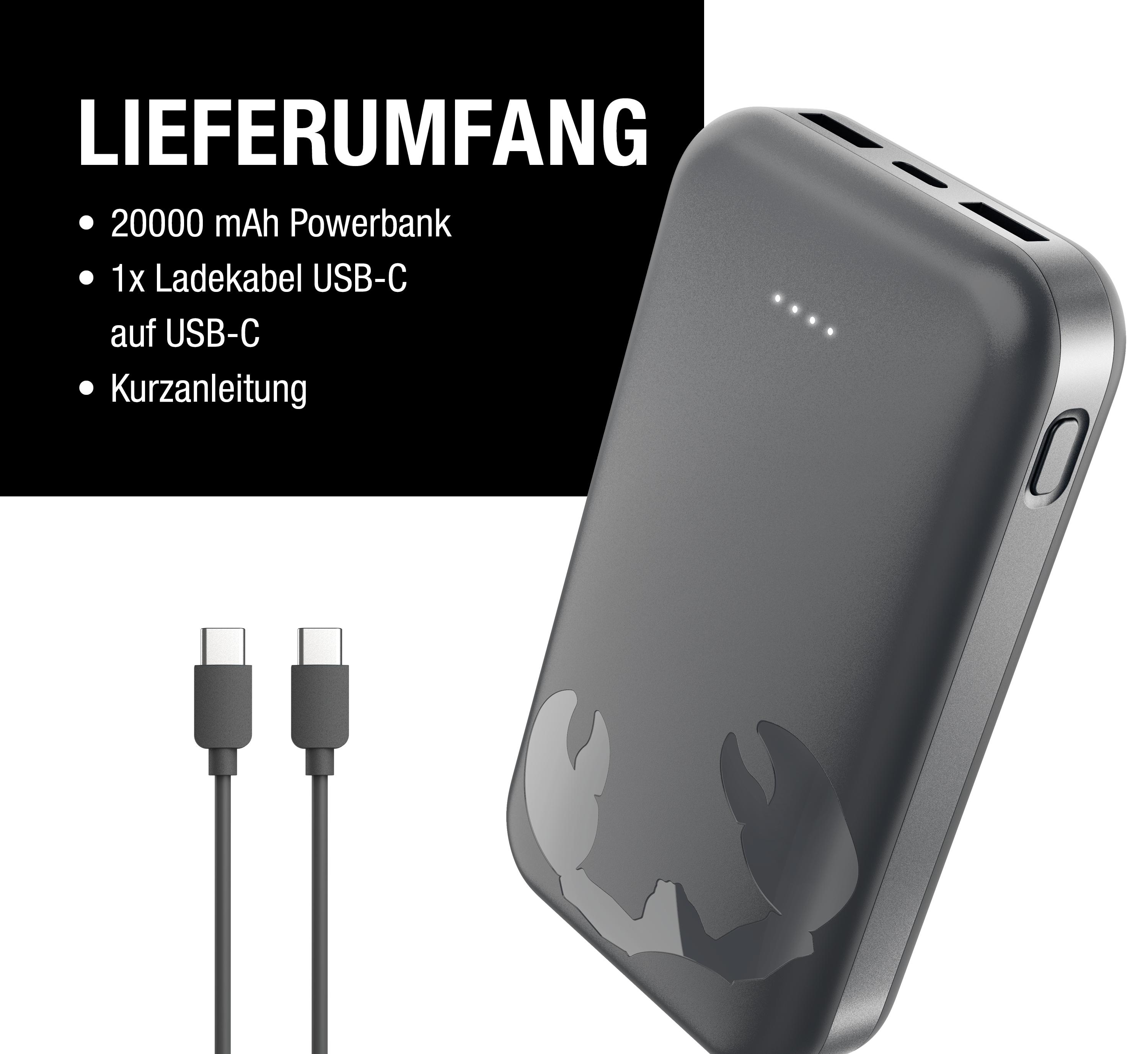 Graue 20000 mAh Powerbank mit USB-C Kabel und Anleitung. Mit Krabbendesign.