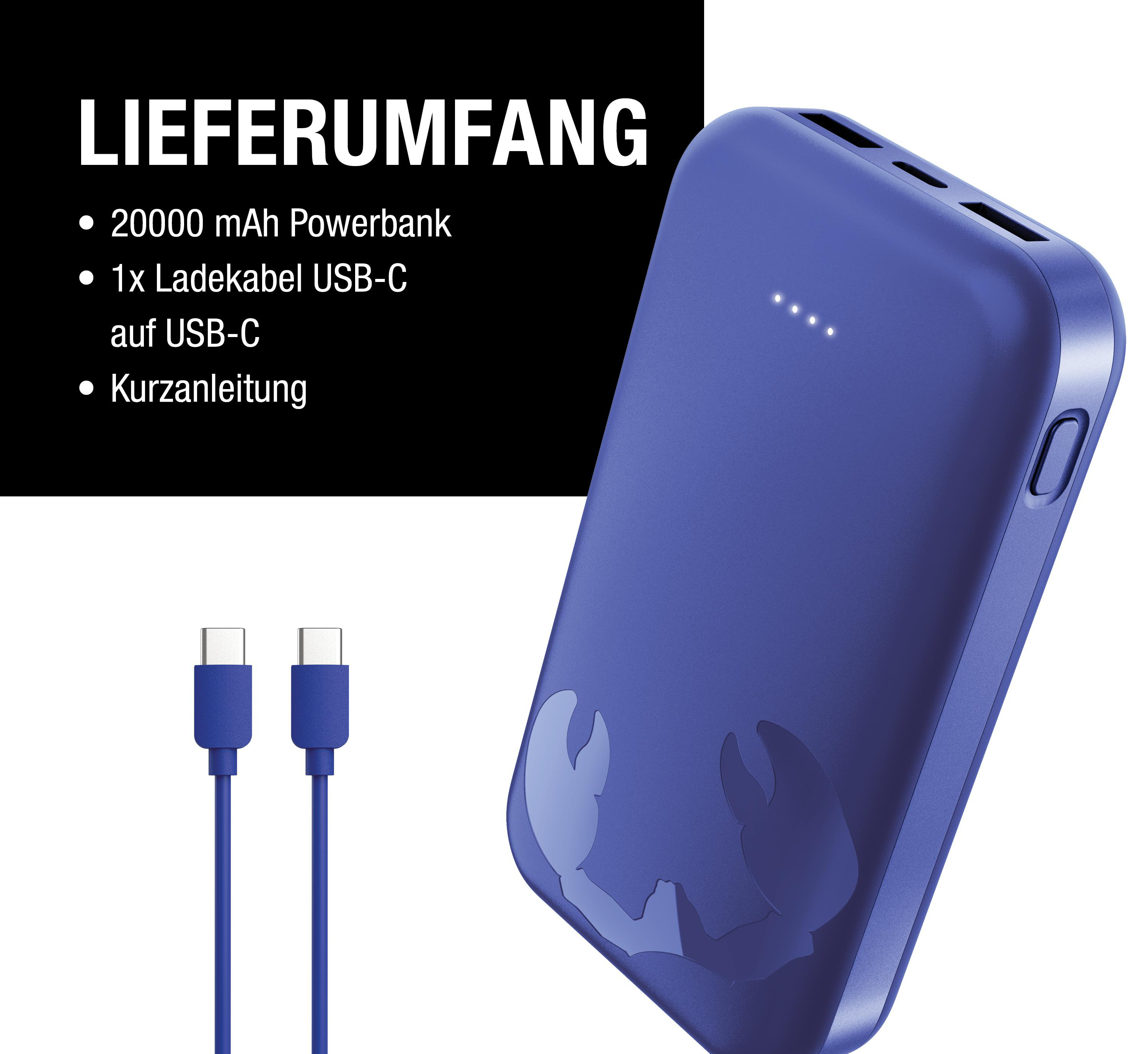 Blaue 20000 mAh Powerbank mit USB-C Kabel und Anleitung.