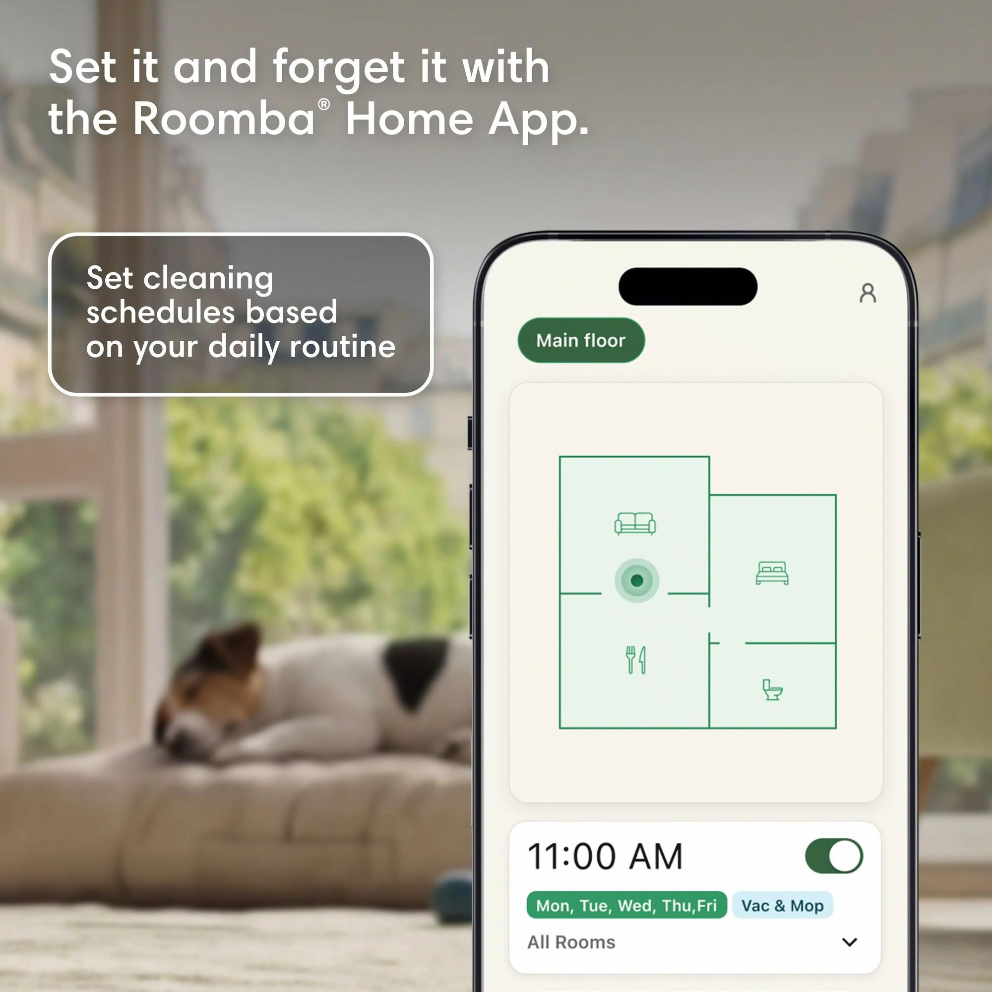 Un chien dort sur un coussin. Un smartphone affiche une vue de plan.