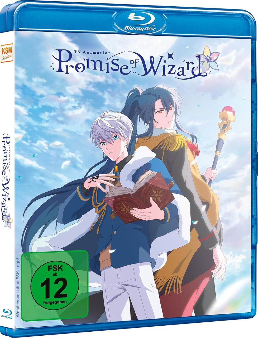 Anime-Cover mit zwei jungen Männern, einer hält ein Buch, der andere einen Stab.