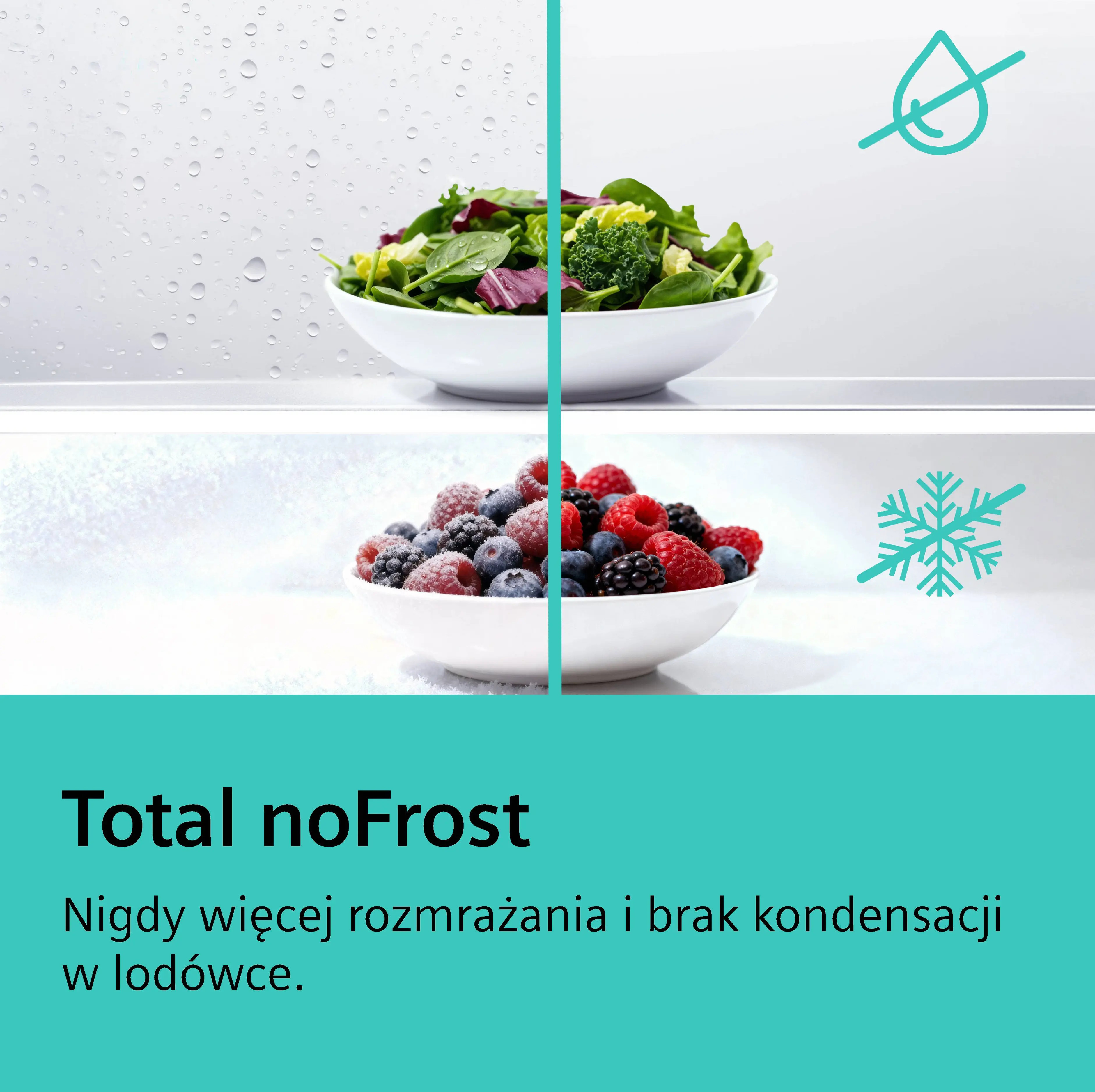 Świeża sałatka i jagody w lodówce, brak symbolu szronu.