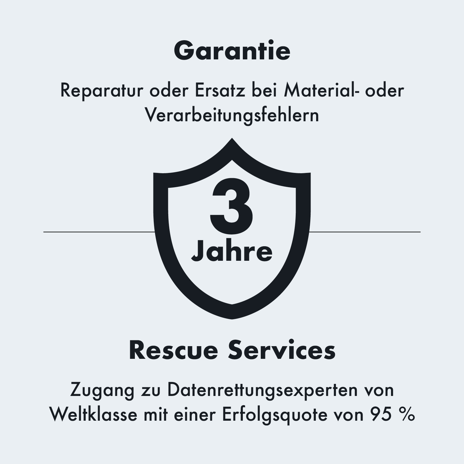 Garanzia: 3 anni riparazione/sostituzione. Servizi di recupero: esperti recupero dati, 95% successo.