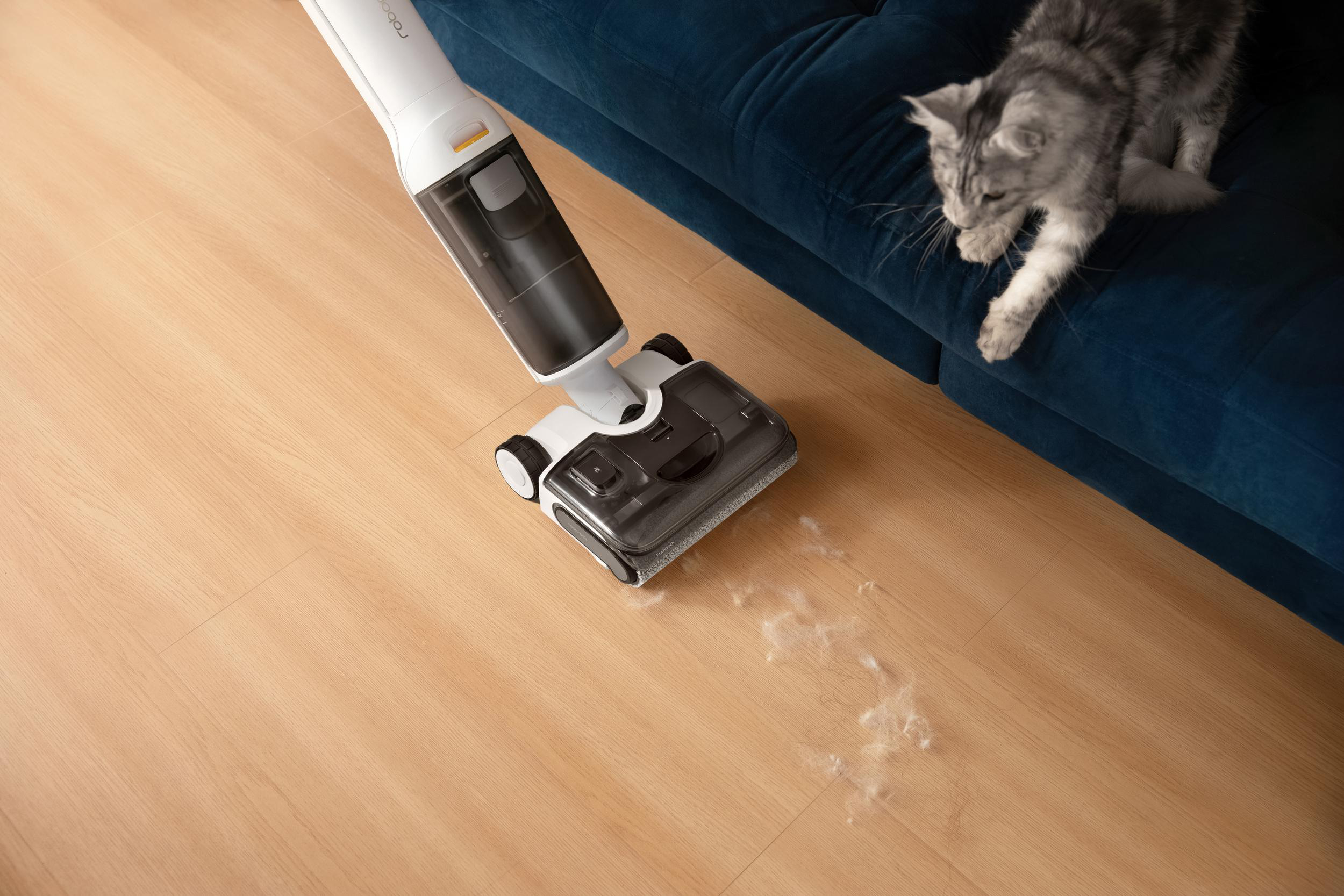 Ein Staubsauger reinigt Holzfußboden neben einem blauen Sofa, auf dem eine Katze sitzt.