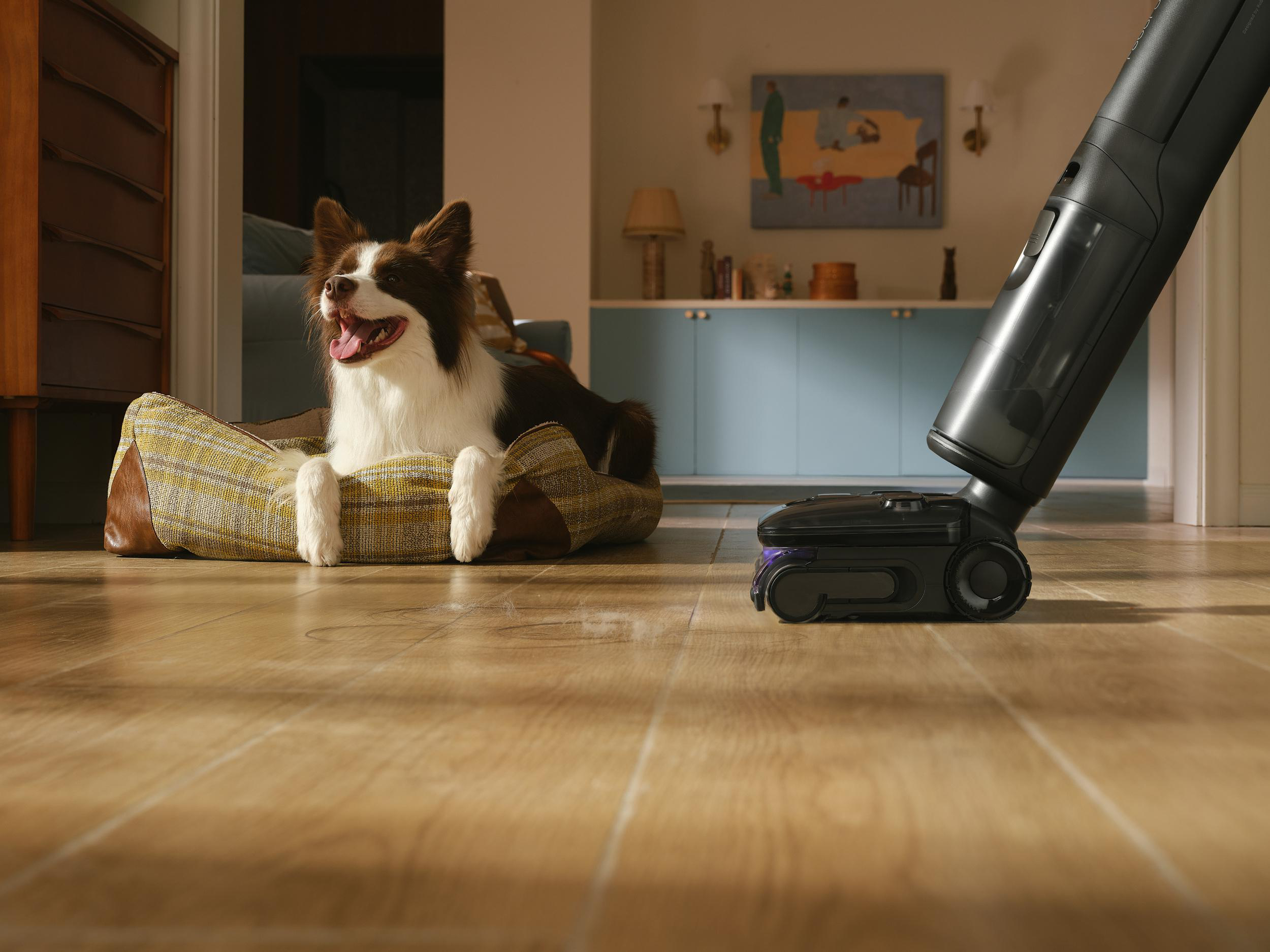 Ein Hund liegt in seinem Bett, während ein Staubsauger auf dem Holzboden steht.