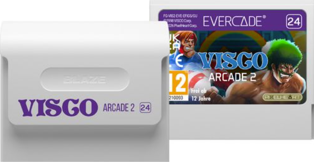 Zwei Videospiel-Module nebeneinander, eines weiß mit "VISGO ARCADE 2" und eines mit "EVERCADE" und Kampfkunst-Motiven.