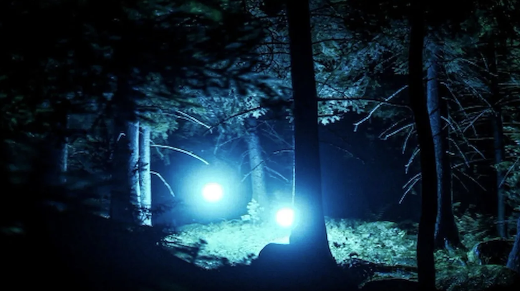 Zwei leuchtende blaue Kugeln in einem dunklen Wald bei Nacht.
