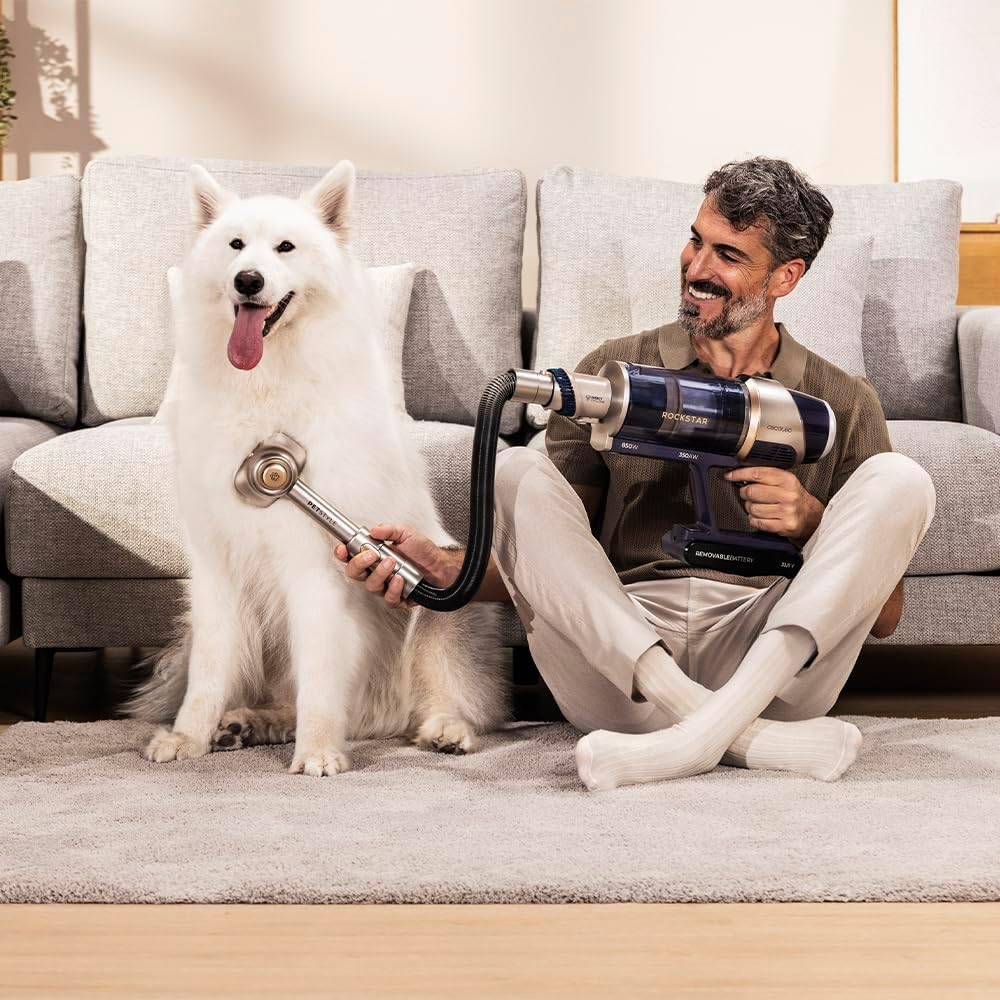 Adam kanepenin önünde vakumlu fırçayla beyaz köpeği tımar ediyor