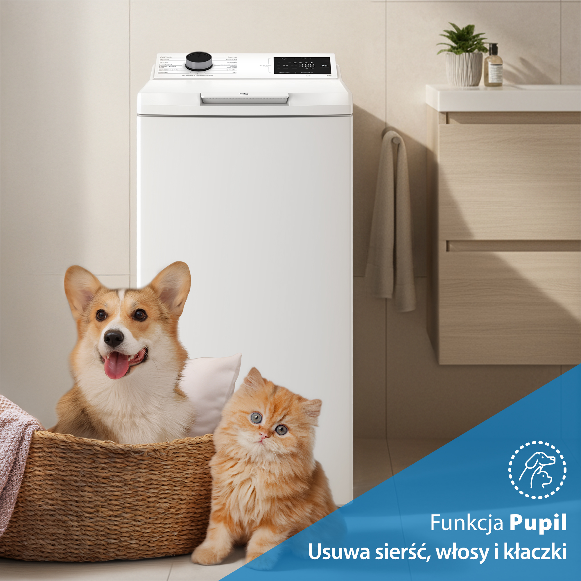 Corgi i kot siedzą przed pralką. Wyświetlana jest funkcja "Pupil".