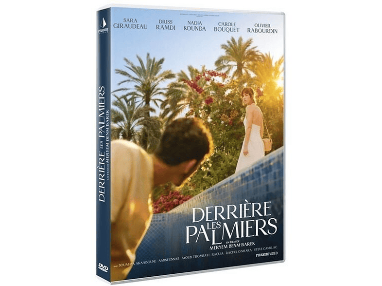 Pyramide Derriere Les Palmiers