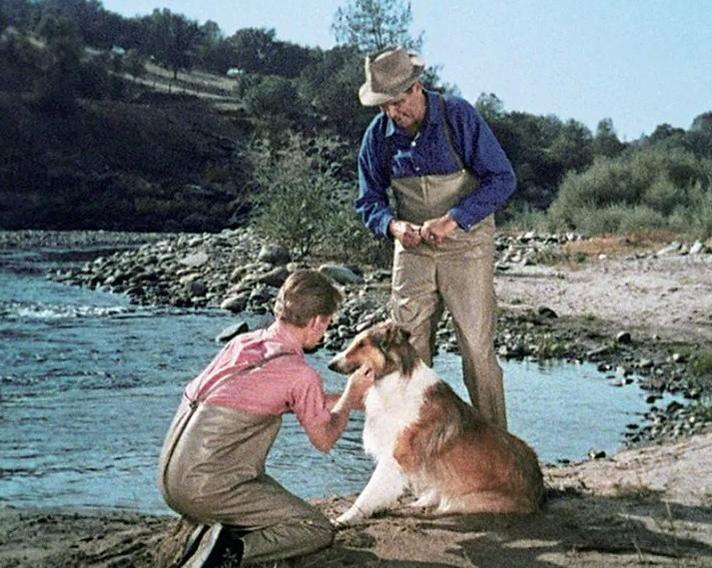 Ein Junge und ein Mann knien am Flussufer neben einem Collie.
