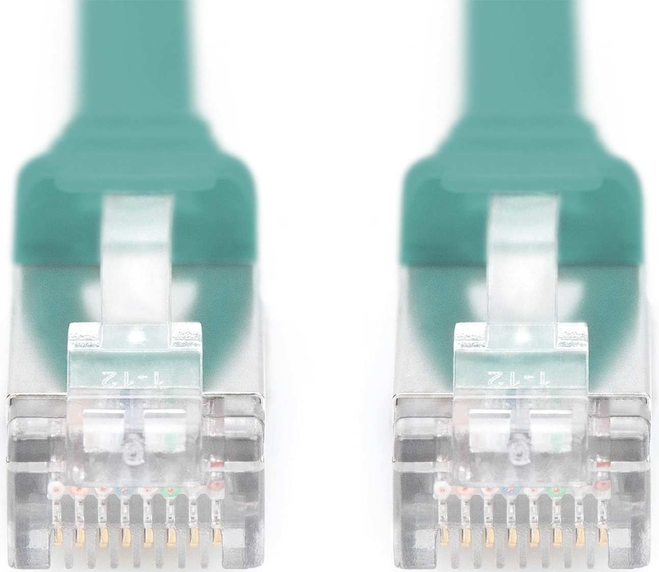 Zwei grüne Netzwerkkabel-Stecker mit transparenten Enden und sichtbaren Kontakten.