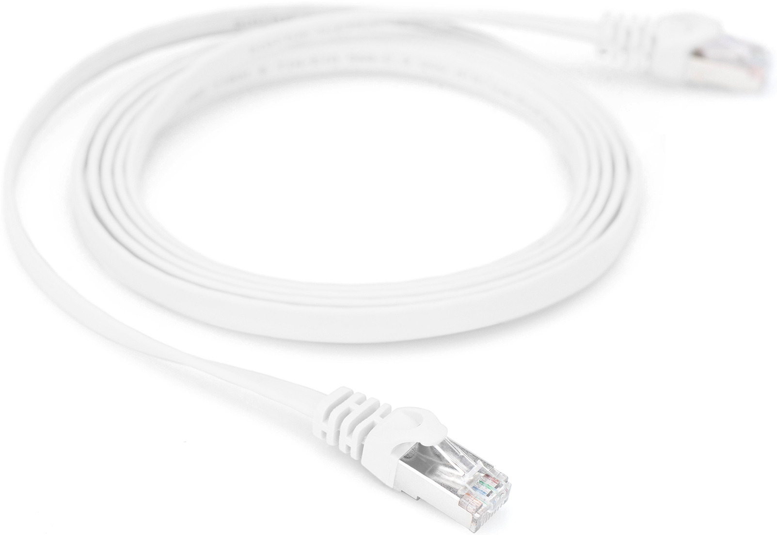 Ein weißes Ethernet-Kabel mit RJ45-Anschlüssen, aufgewickelt.