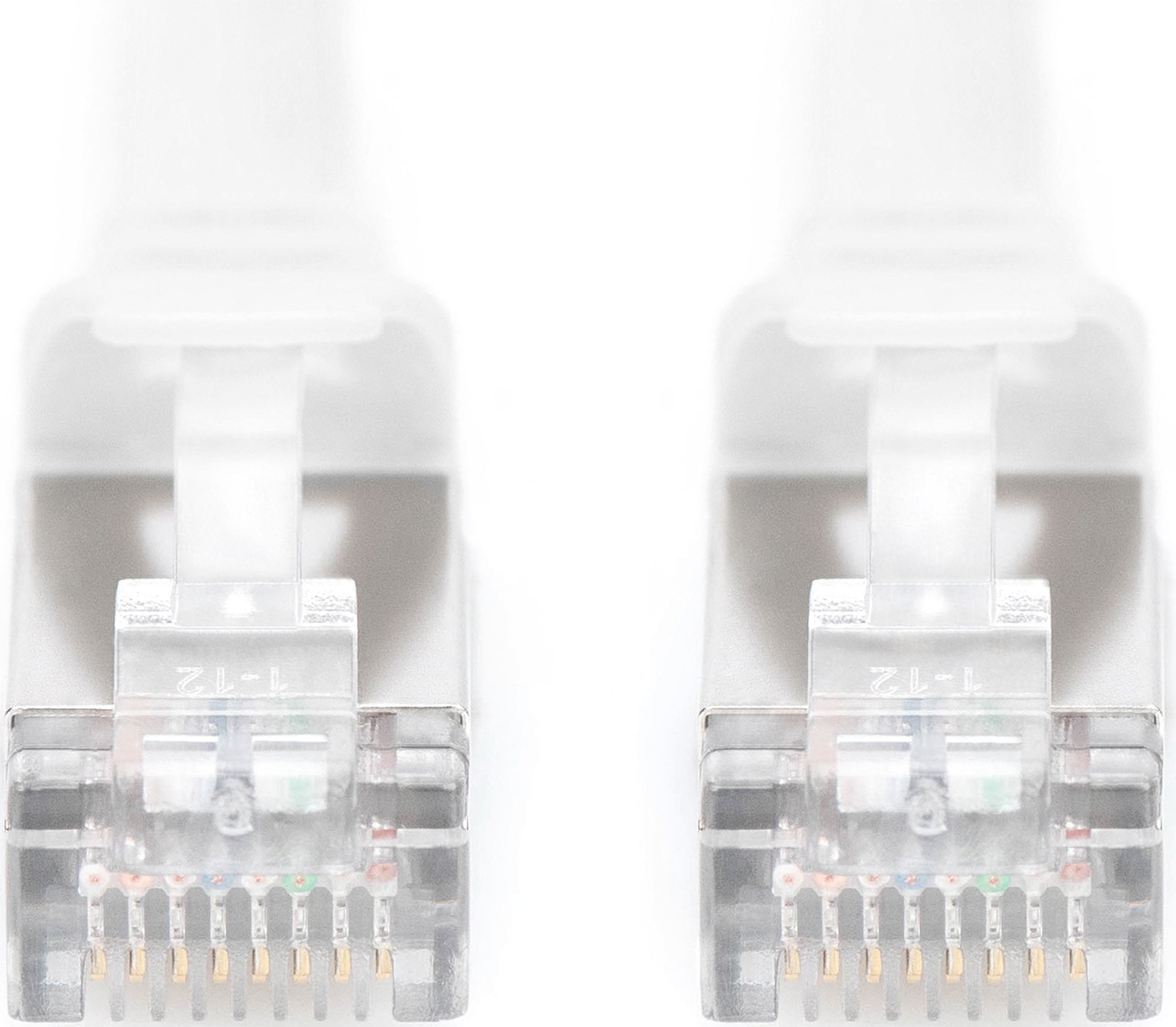 Zwei transparente Netzwerkstecker mit goldenen Kontakten auf weißem Hintergrund.