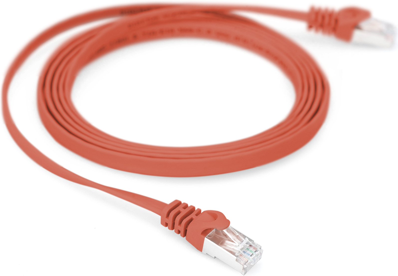 Ein rotes Ethernet-Kabel ist aufgerollt, mit einem Stecker.