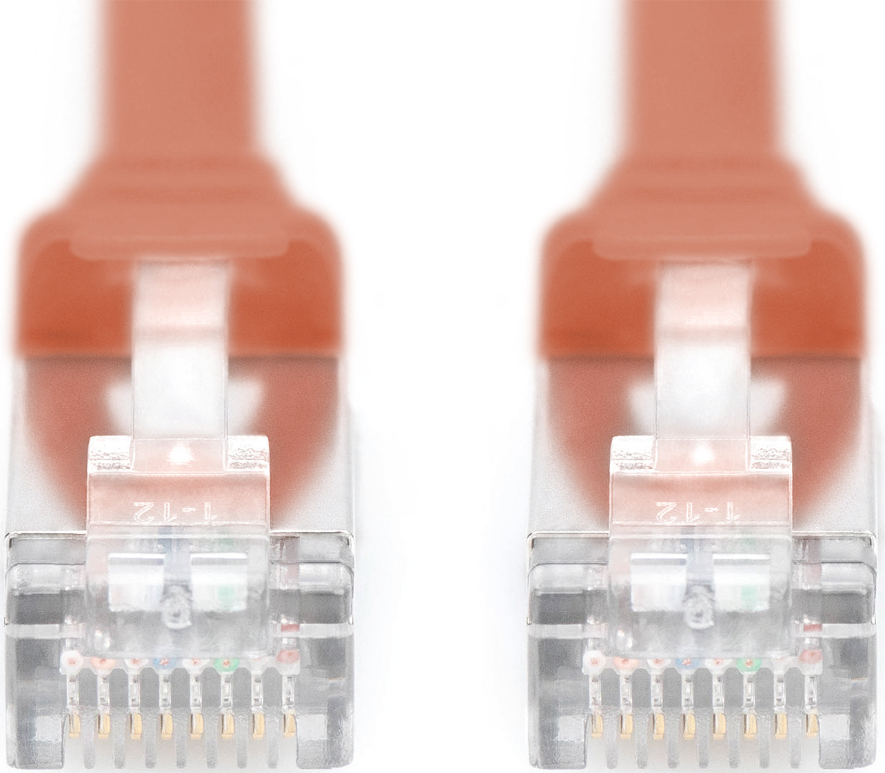 Nahaufnahme von zwei orangefarbenen Ethernet-Kabelsteckern mit transparenten Gehäusen.