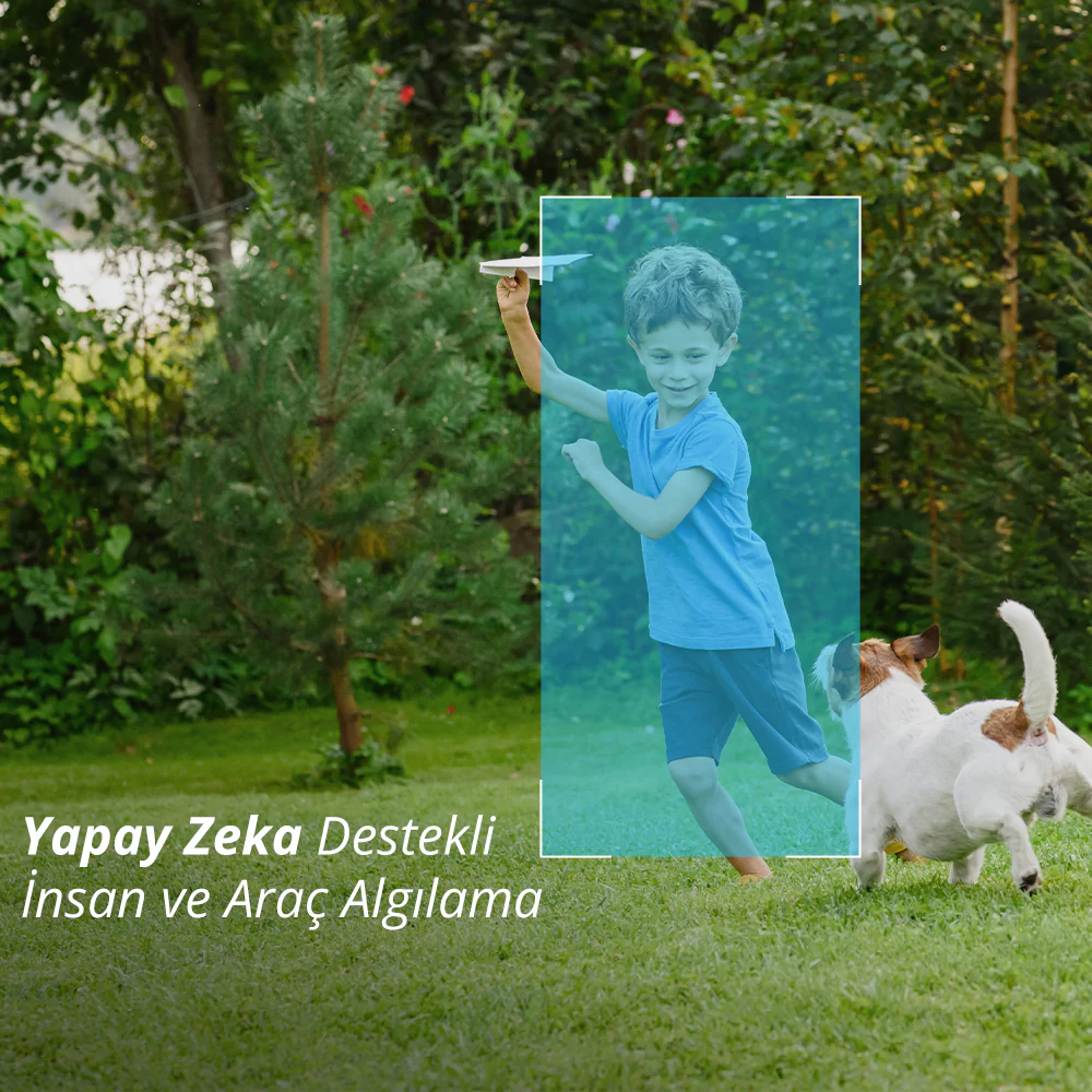 Bir çocuk bahçede kağıt uçak atıyor, yanında bir köpek koşuyor.