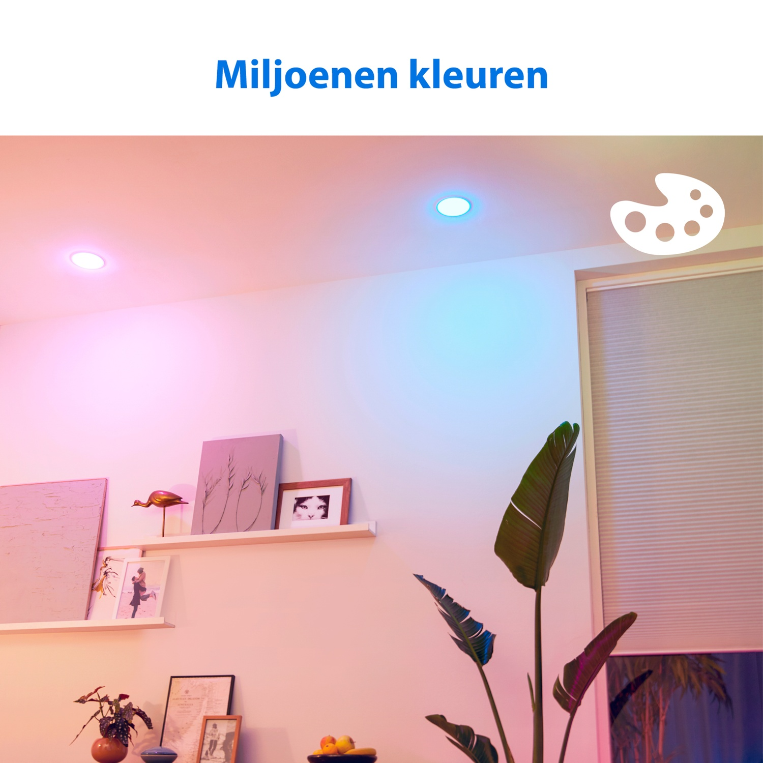 A room with indirect pink and blue lighting, shelves holding decor items.