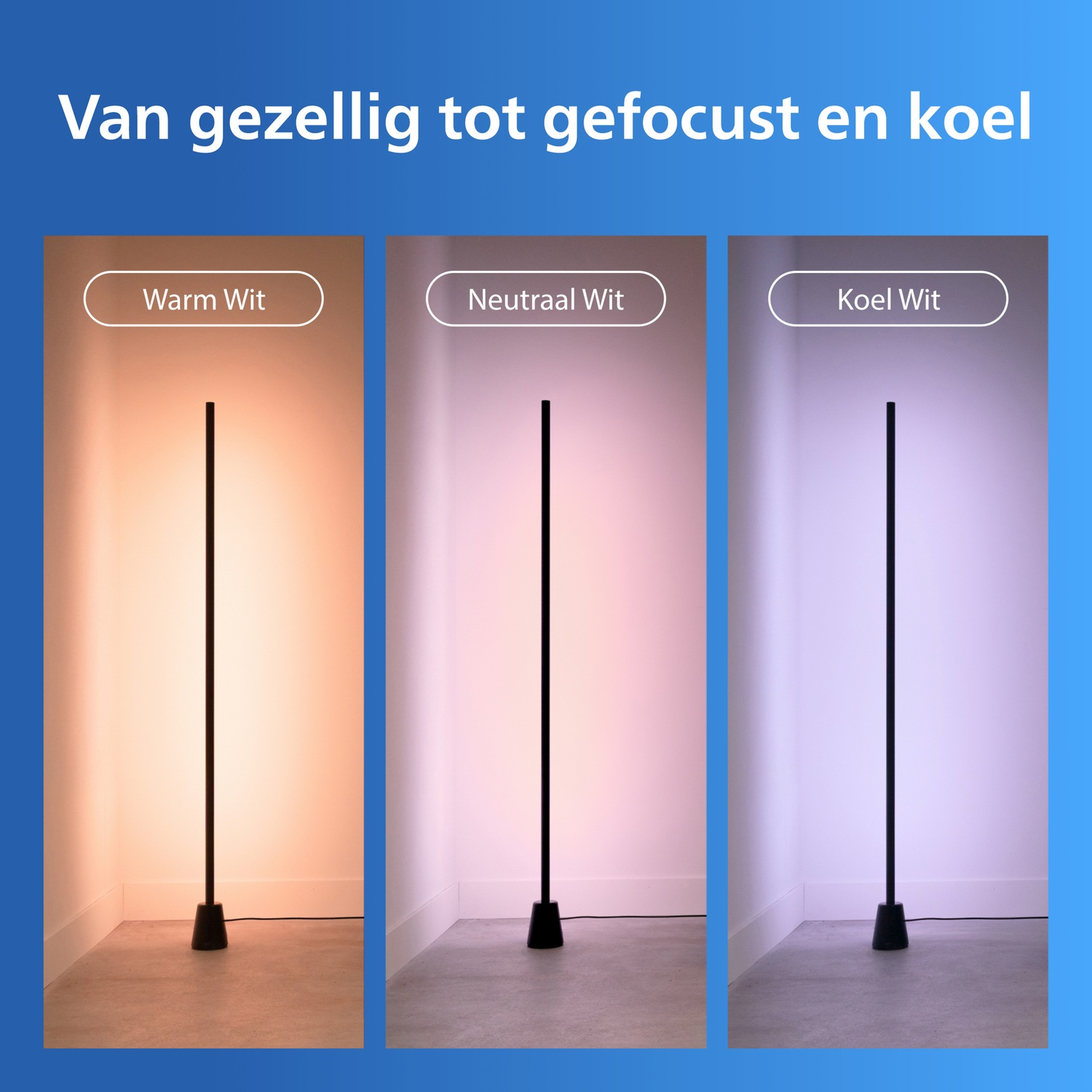 Drie staande lampen tonen warm, neutraal en koel wit licht in een hoek.