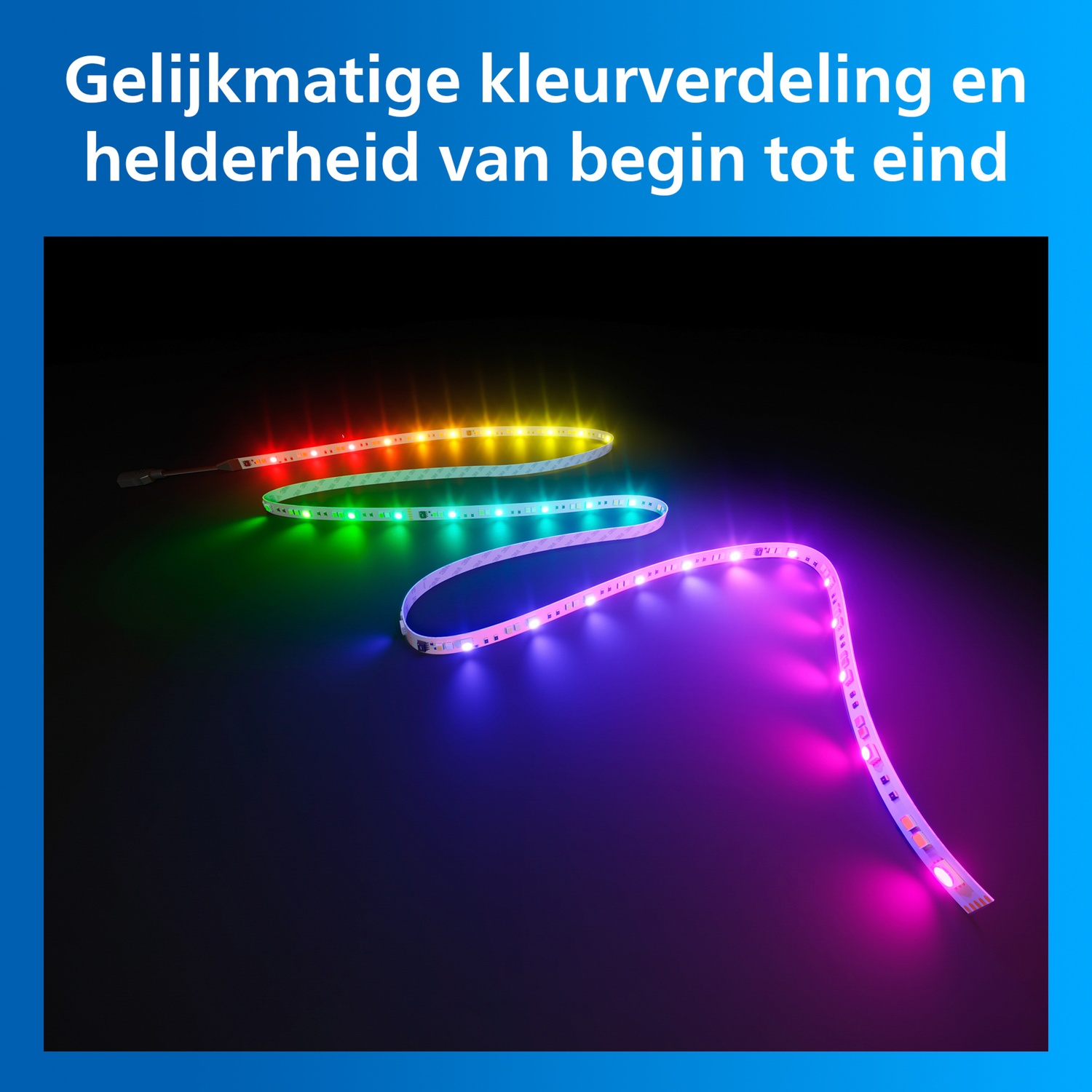 Three flexible LED strips with uniform color distribution glow in yellow, green, and purple.