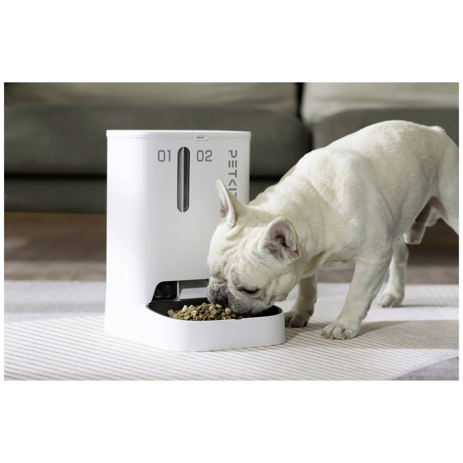 A white French bulldog eats from a white automatic pet feeder on a rug.