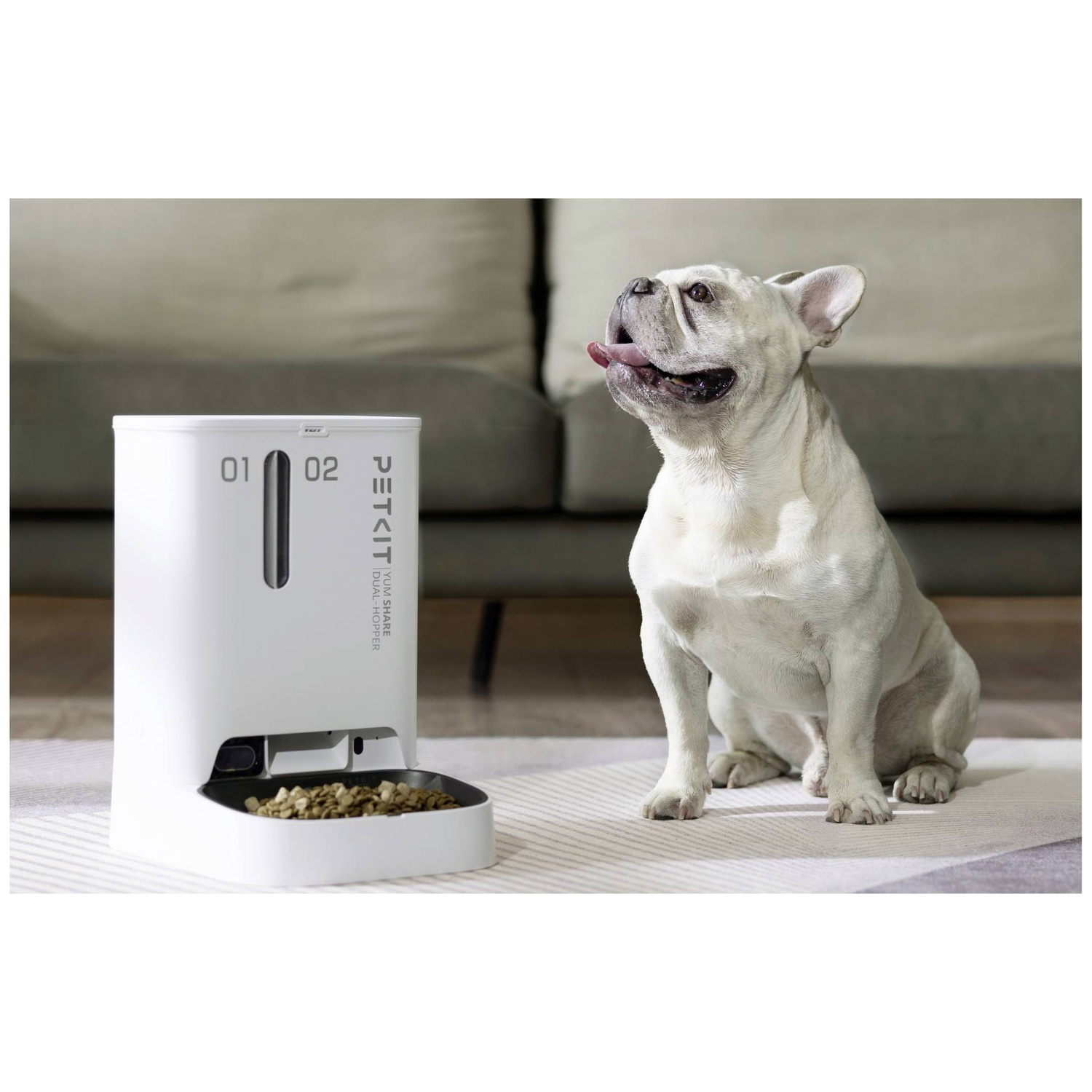 A white French bulldog sits by a white automatic pet feeder filled with kibble.