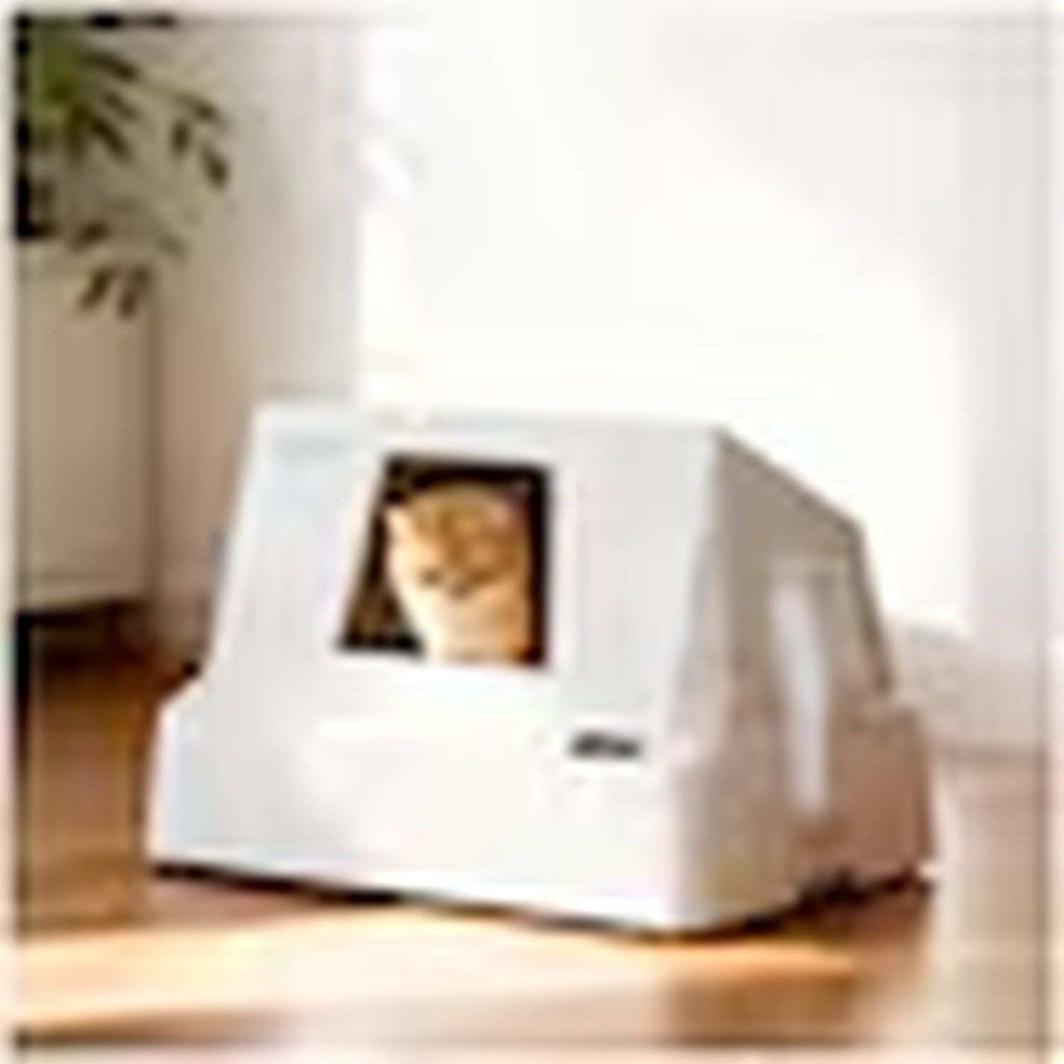 A white litter box with a light brown kitten peeking from the entrance.