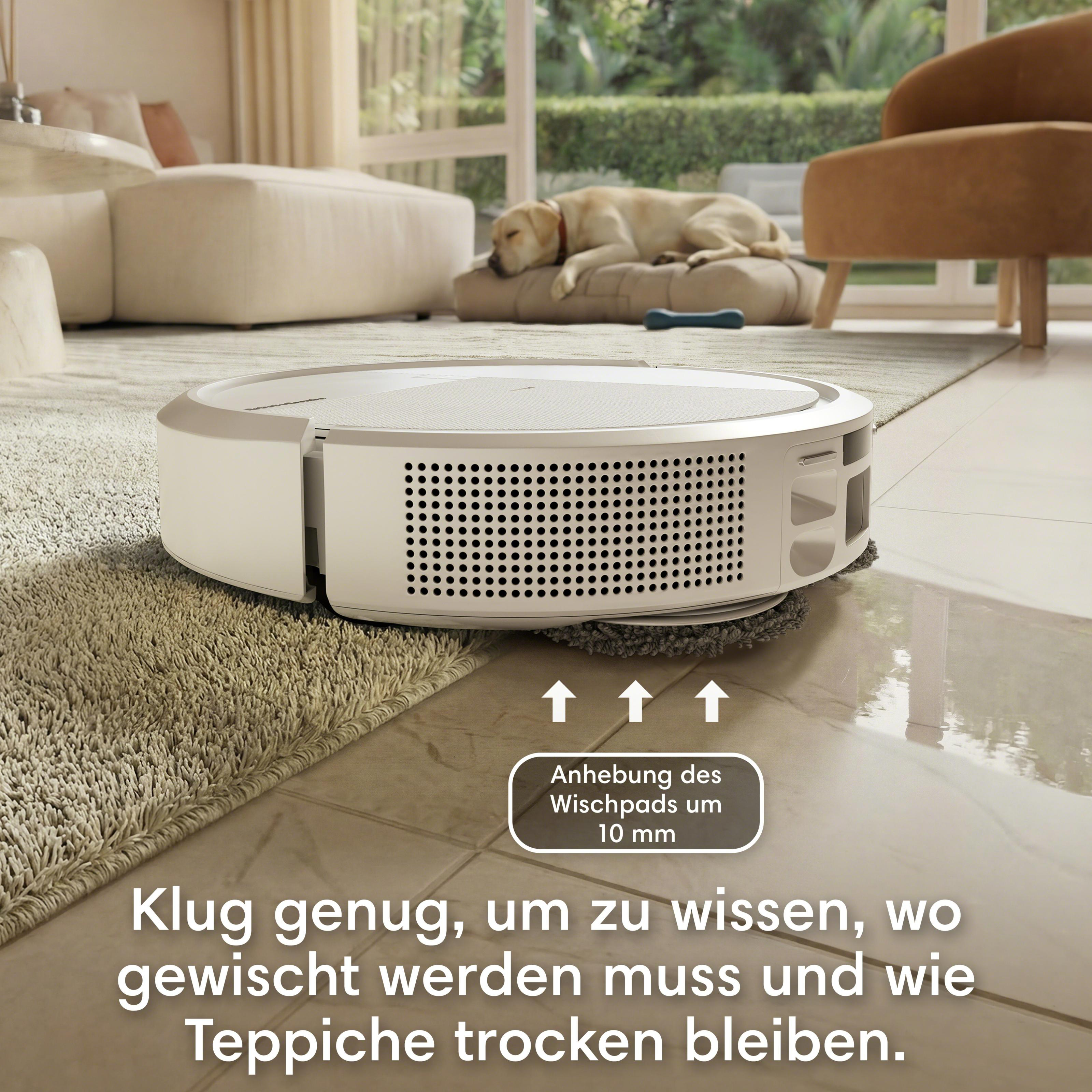 Ein Saugroboter reinigt einen Teppichboden, während ein Hund im Hintergrund schläft.