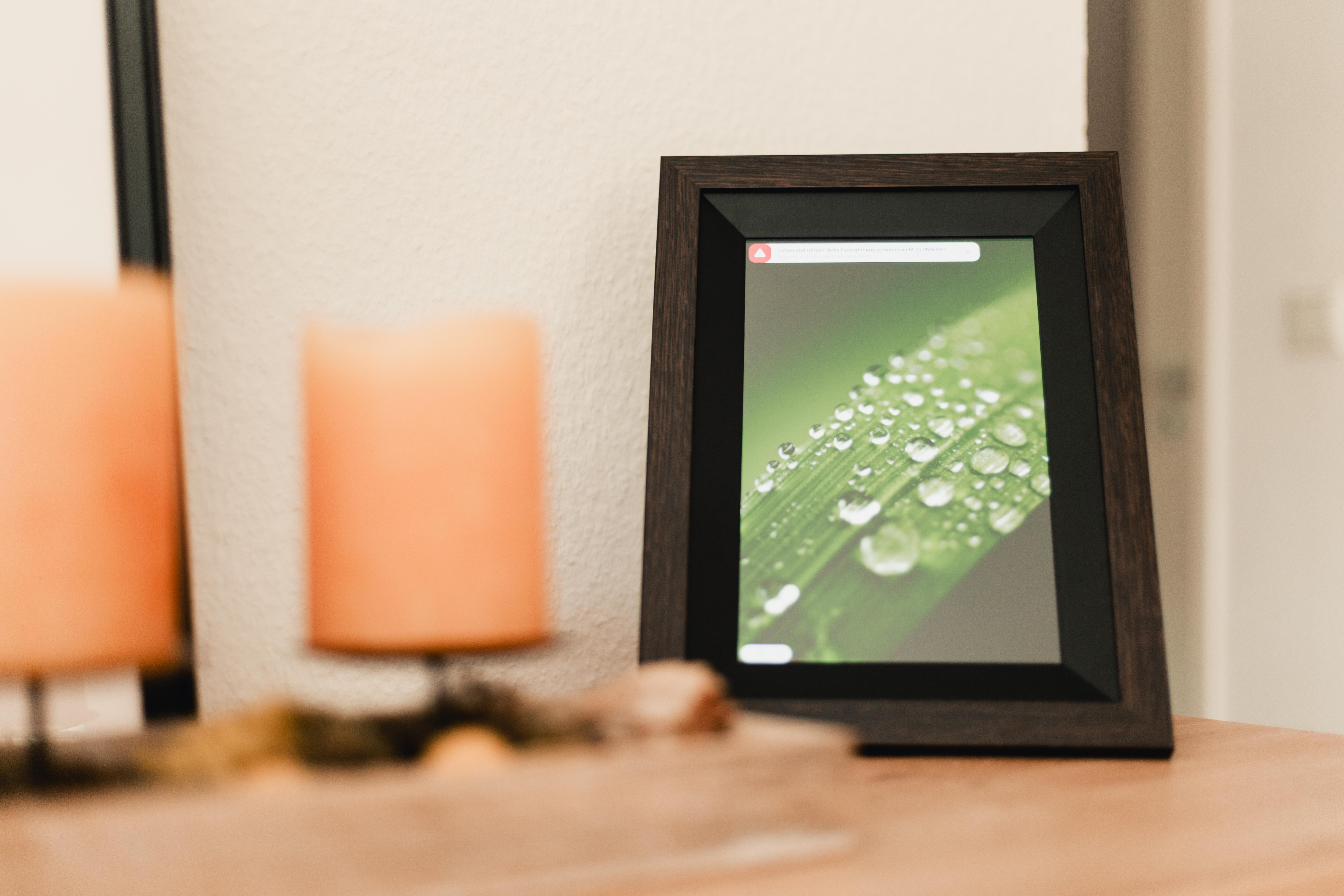 Ein digitaler Bilderrahmen mit einem Makrofoto einer Blattader mit Tautropfen.