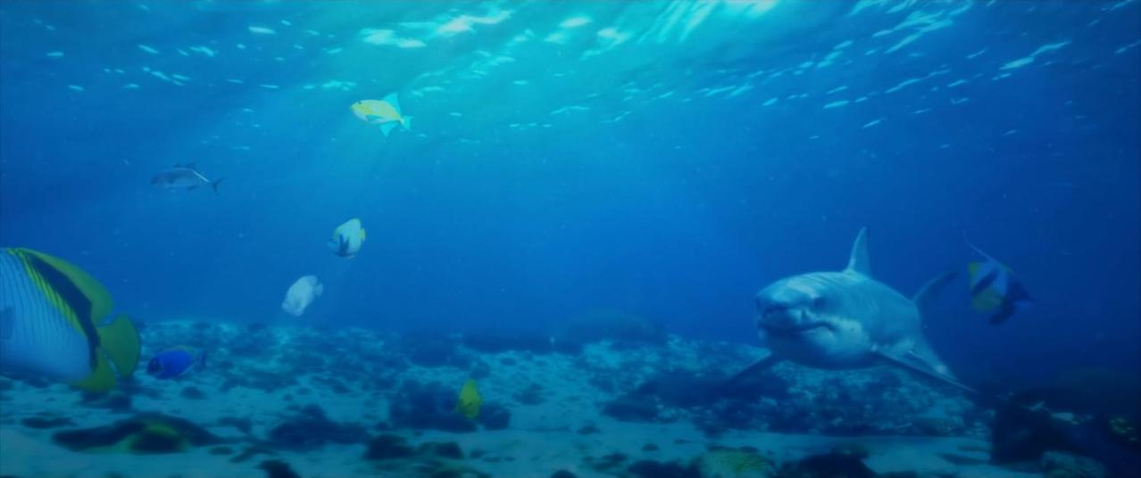Ein Weißer Hai schwimmt im blauen Ozean neben kleinen bunten Fischen.